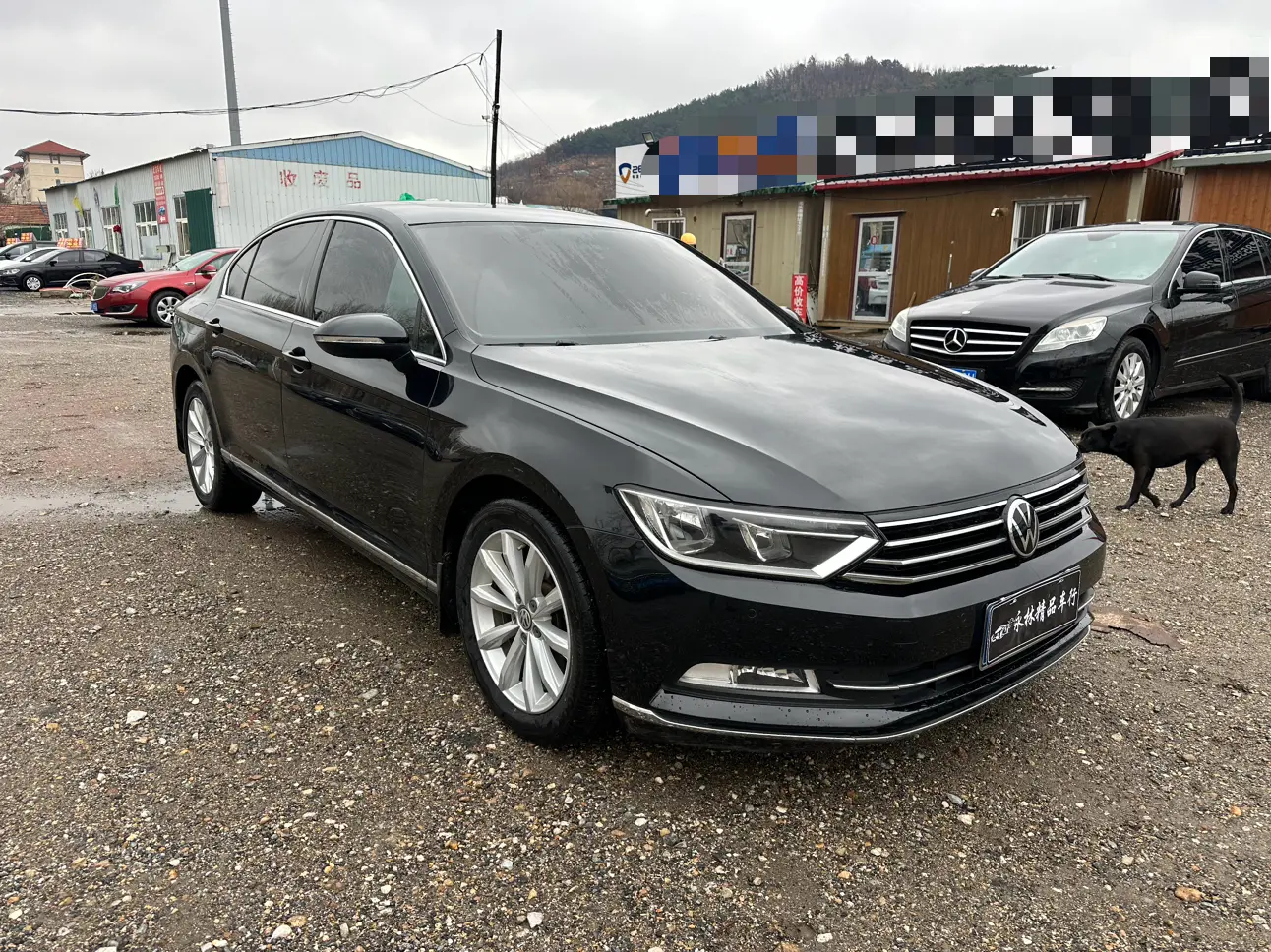 Volkswagen Magotan  из Китая