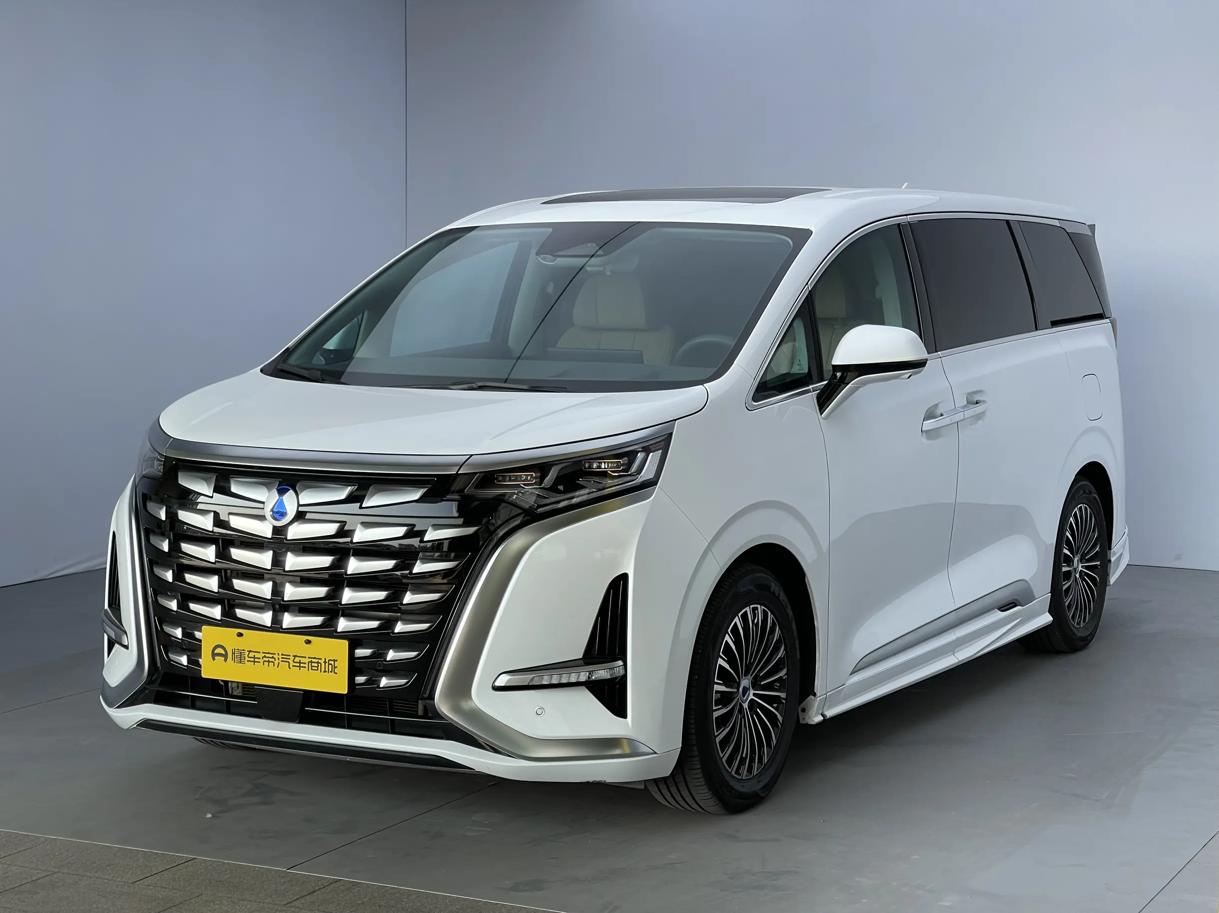 Denza D9 DM  из Китая