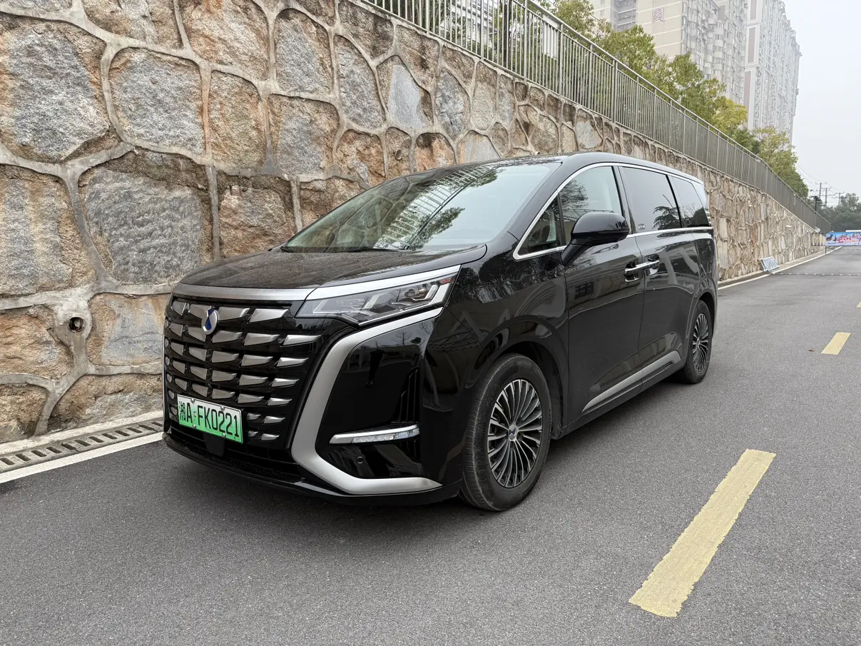 Denza D9 DM  из Китая