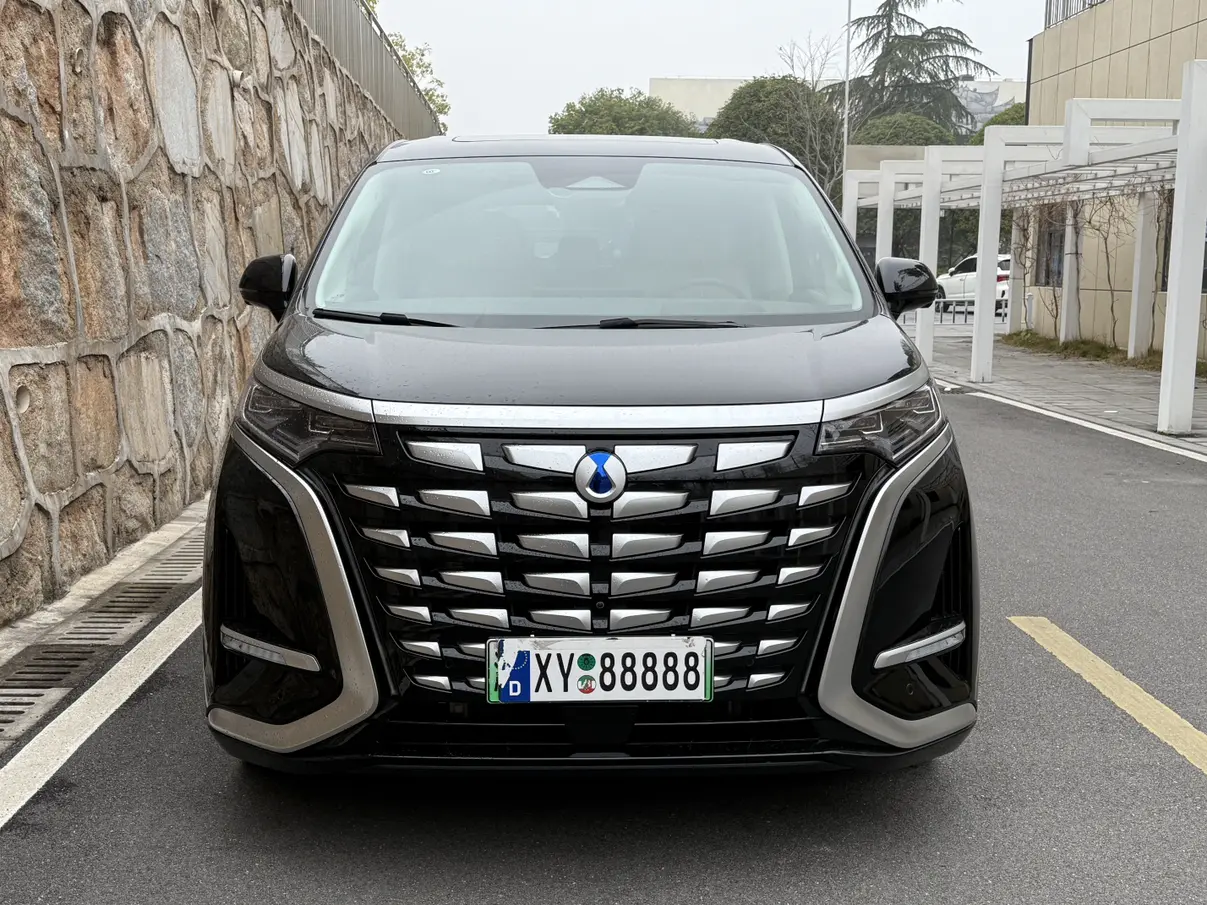 Denza D9 DM  из Китая