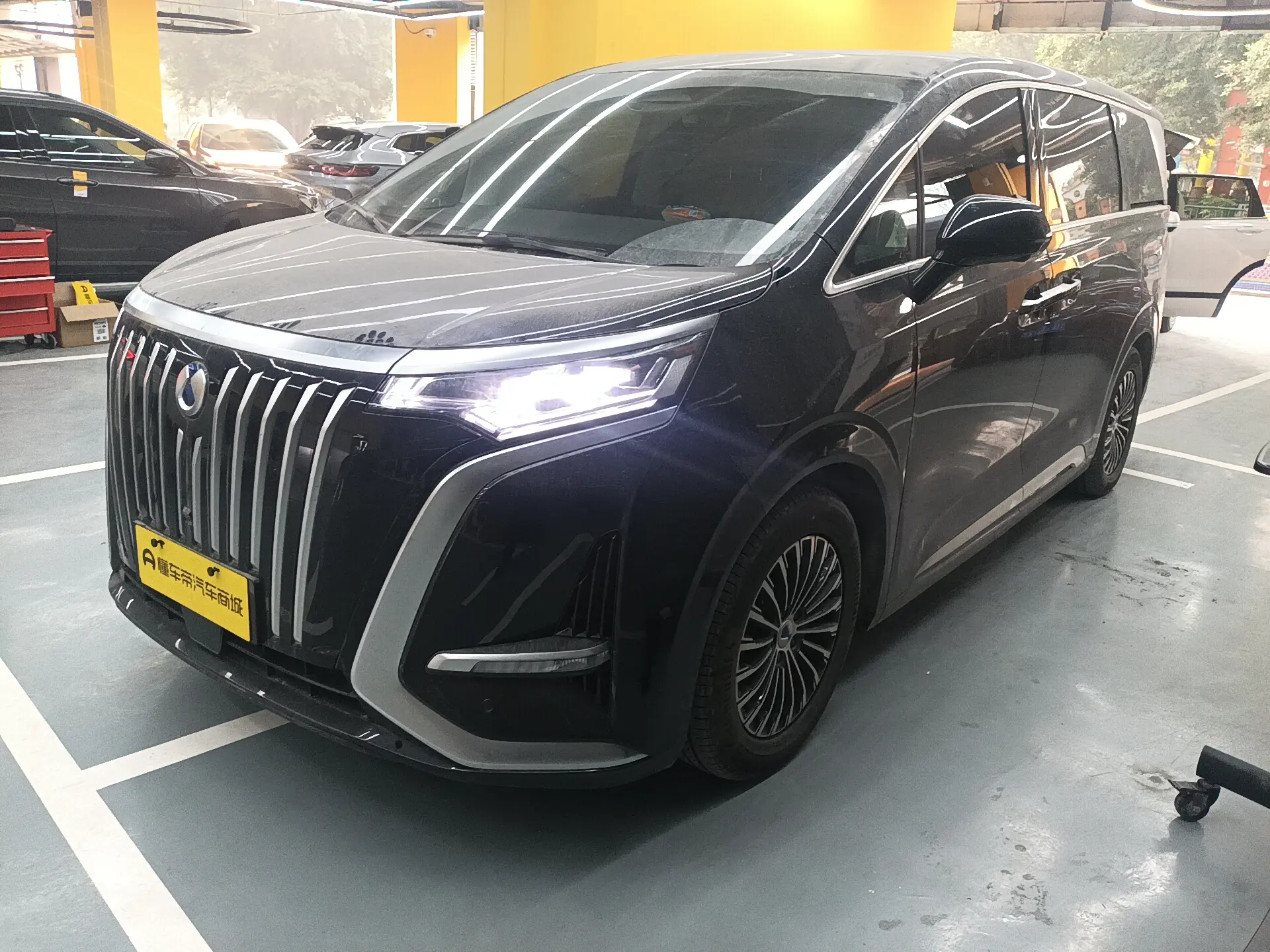 Denza D9 EV  из Китая