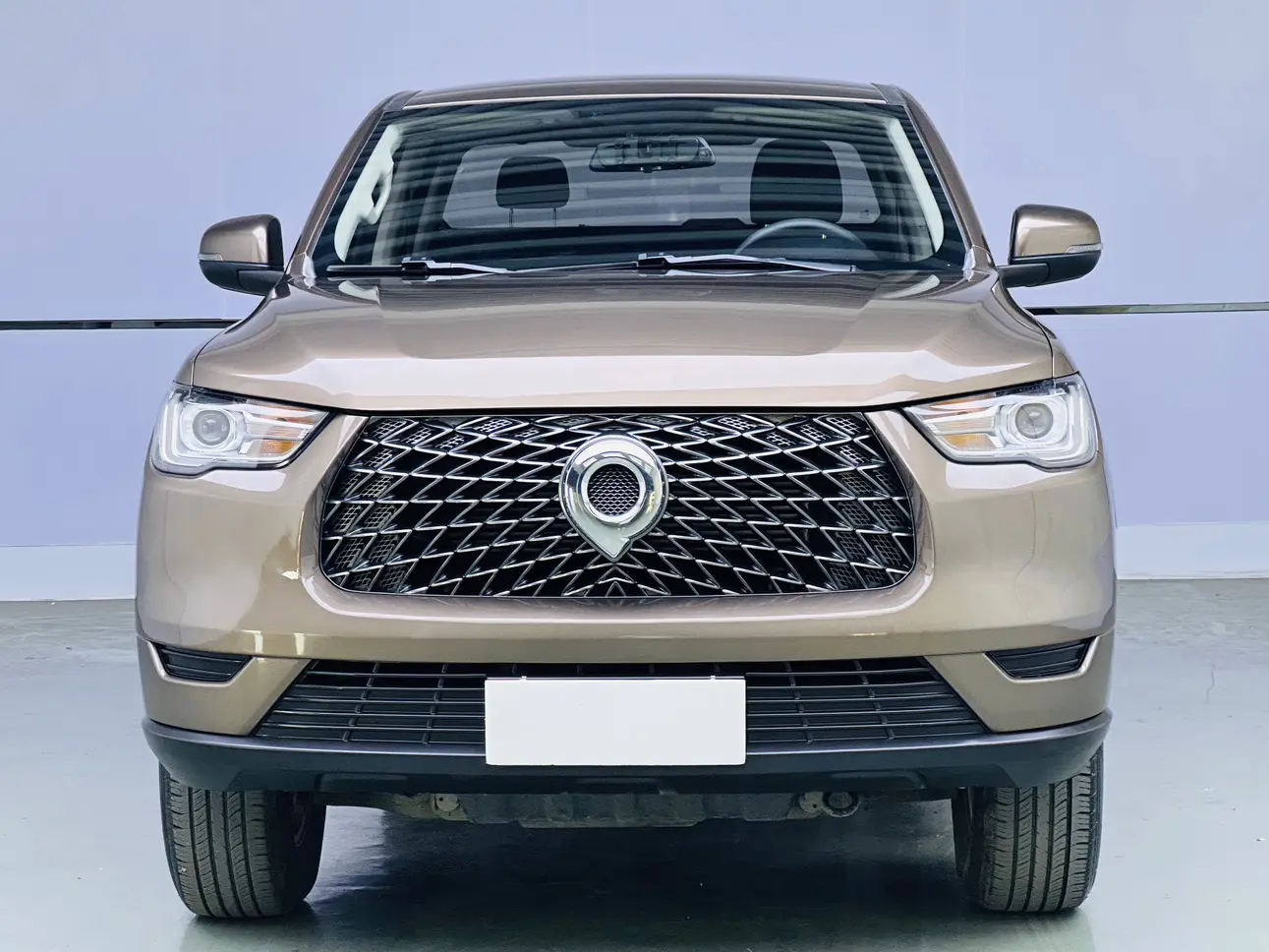 Great Wall Gun  из Китая