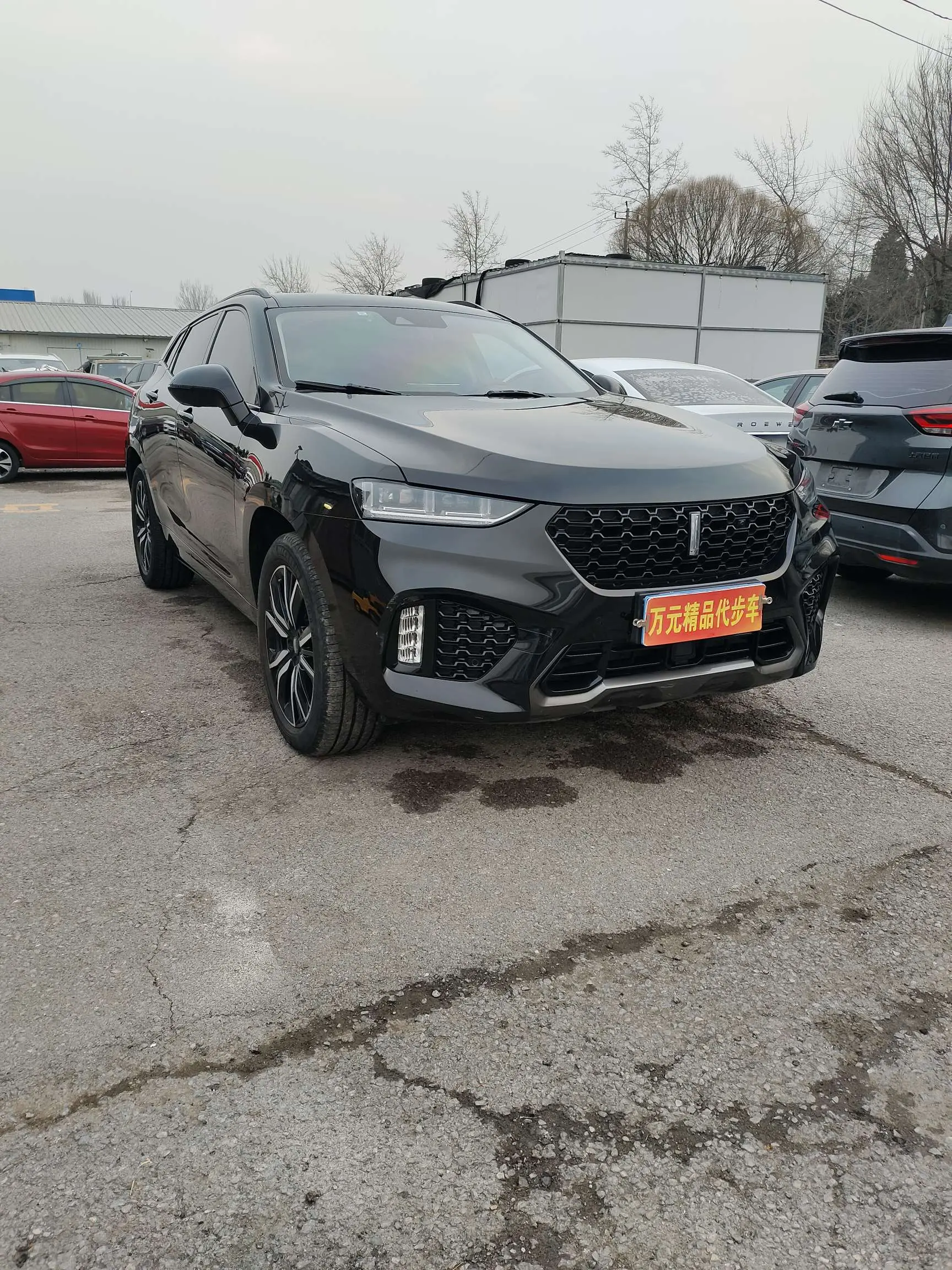 Wey Wei brand VV7  из Китая