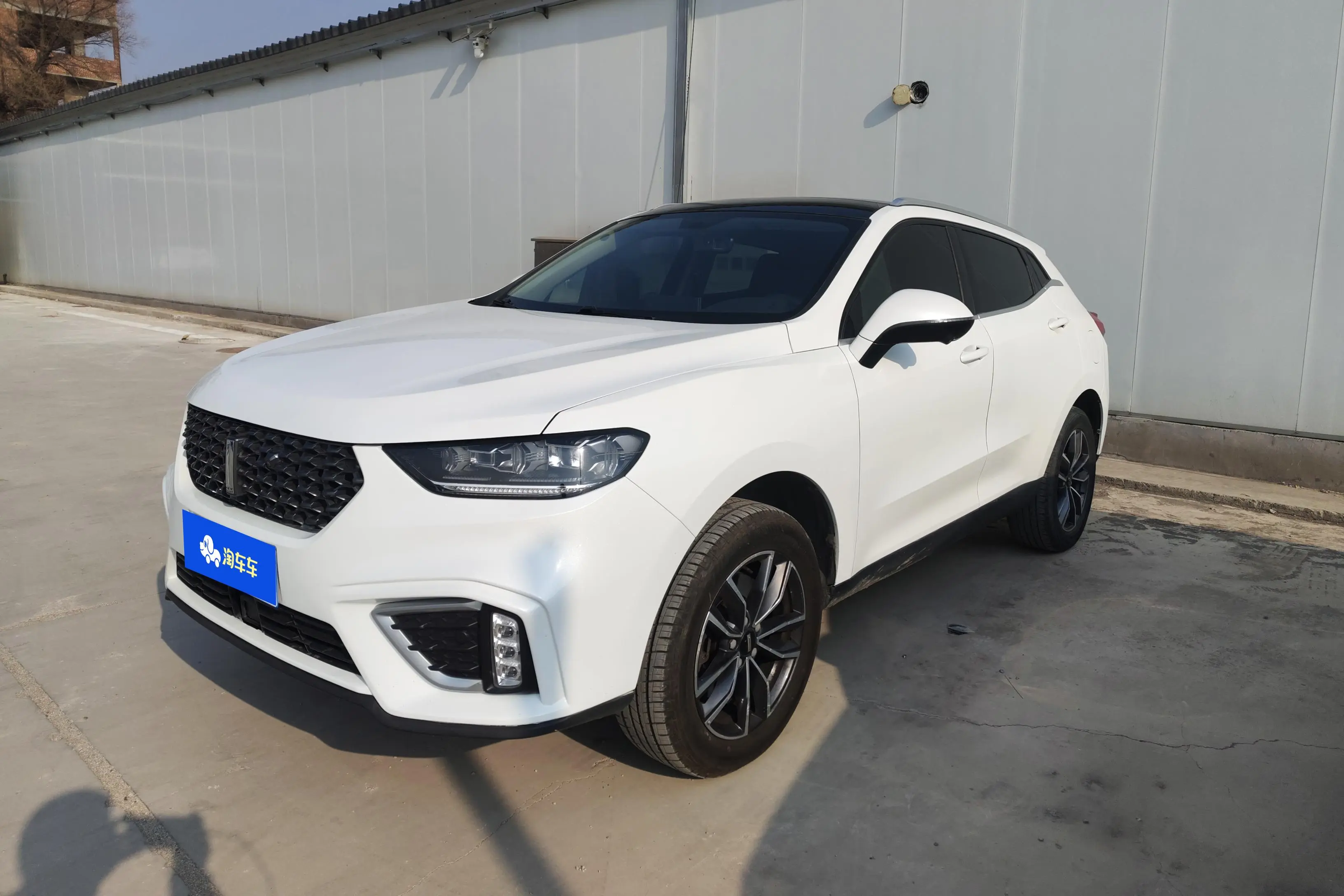 Wey Wei brand VV5  из Китая