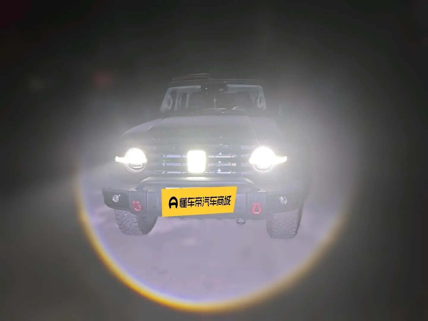 Tank 300 Hi4-T  из Китая