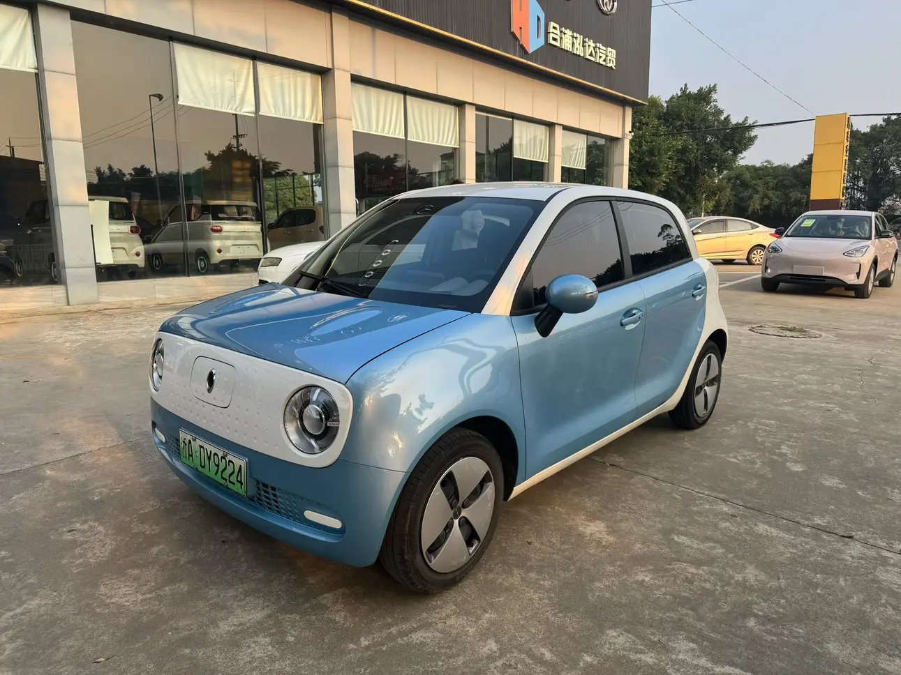 ORA Euler black cat  из Китая