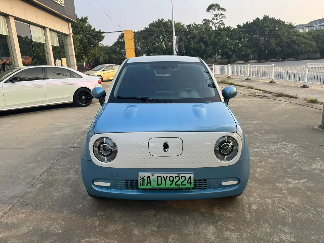 ORA Euler black cat  из Китая