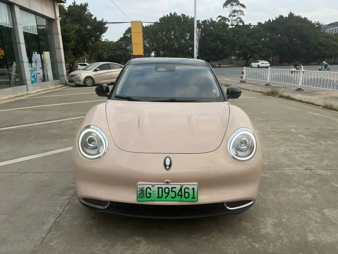 ORA Euler good cat  из Китая