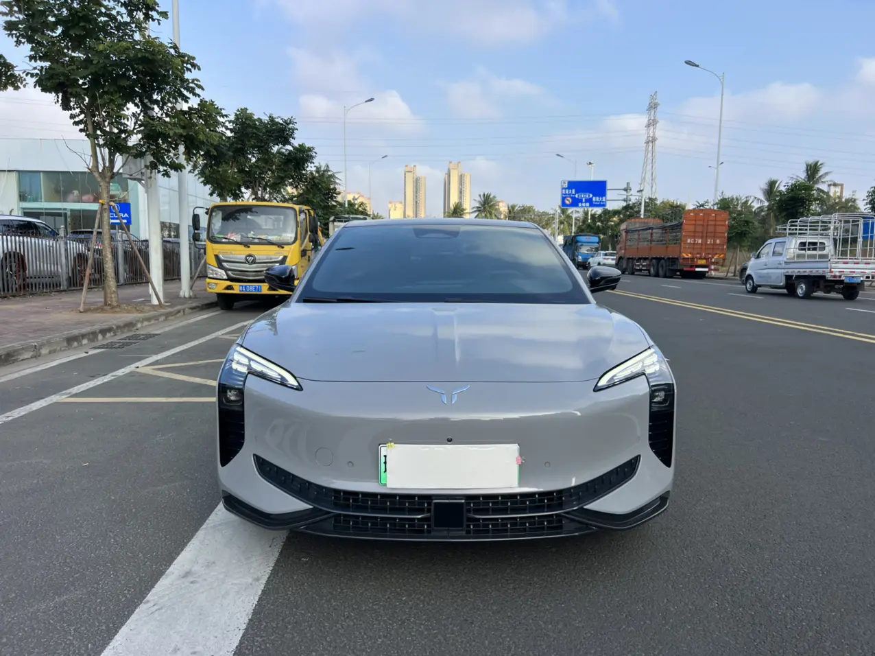 Hongqi EH7  из Китая