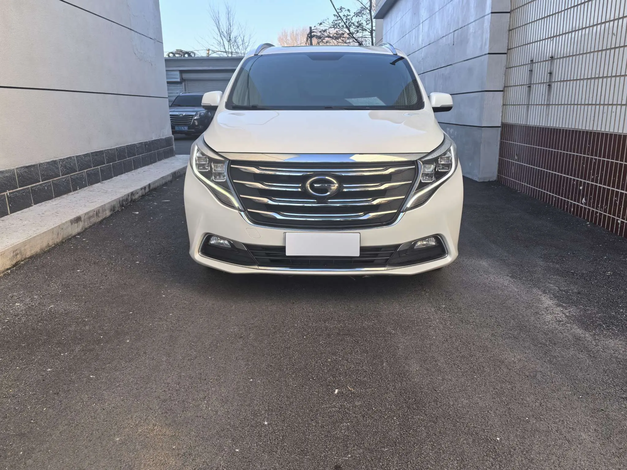 GAC Trumpchi M8  из Китая
