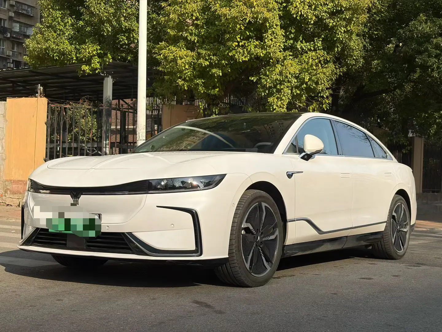 Voyah Passion EV  из Китая