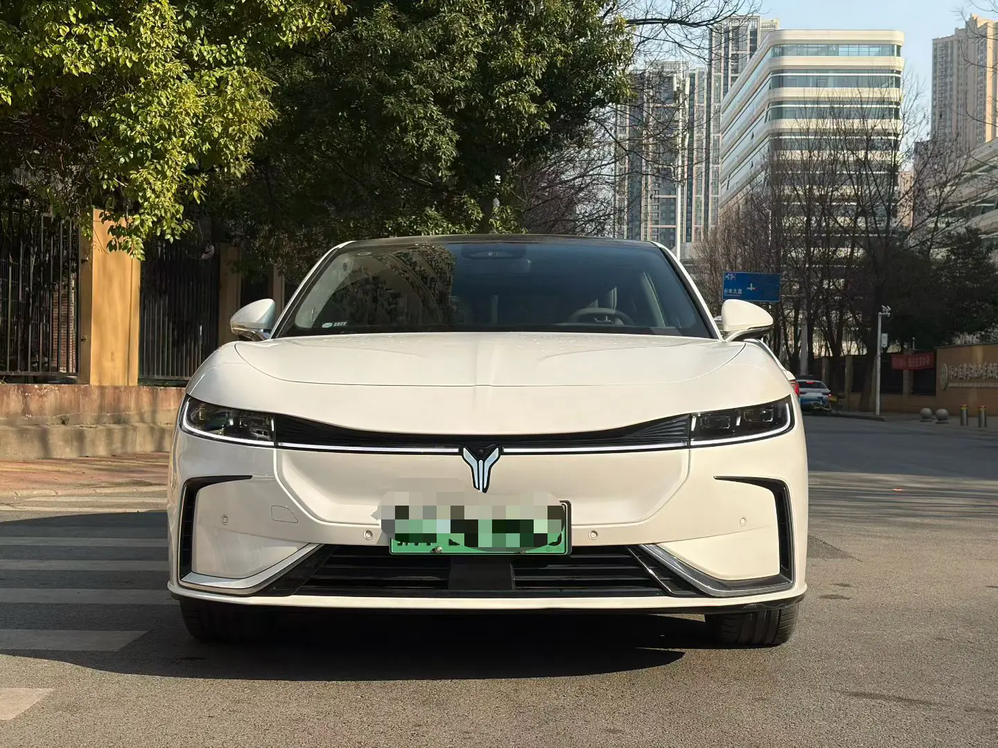 Voyah Passion EV  из Китая