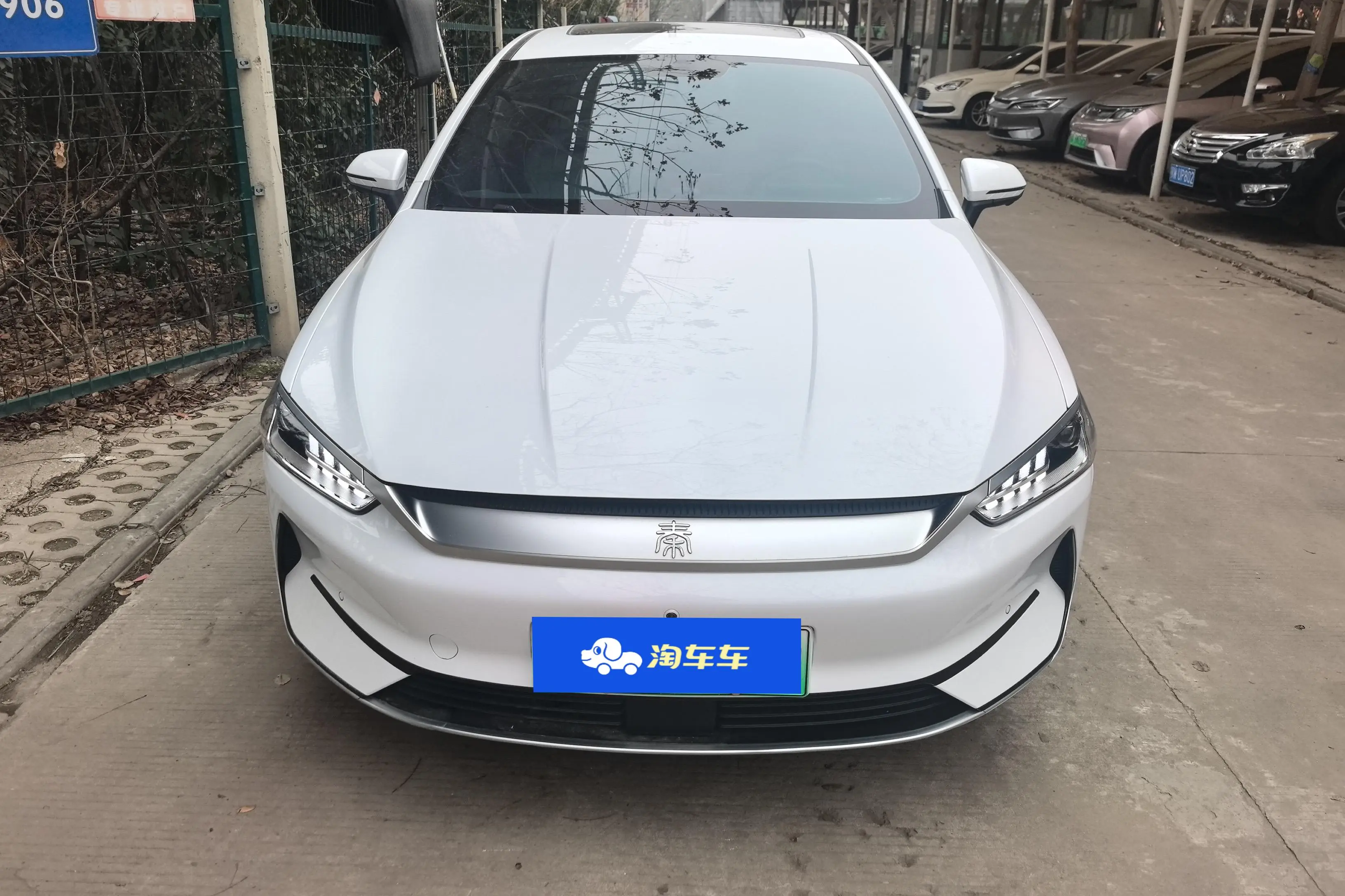 BYD Qin PLUS EV  из Китая