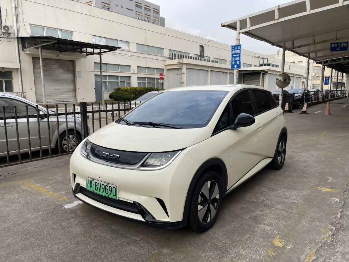 BYD Dolphin  из Китая