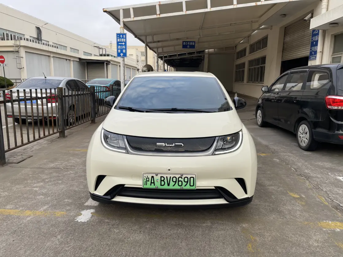 BYD Dolphin  из Китая