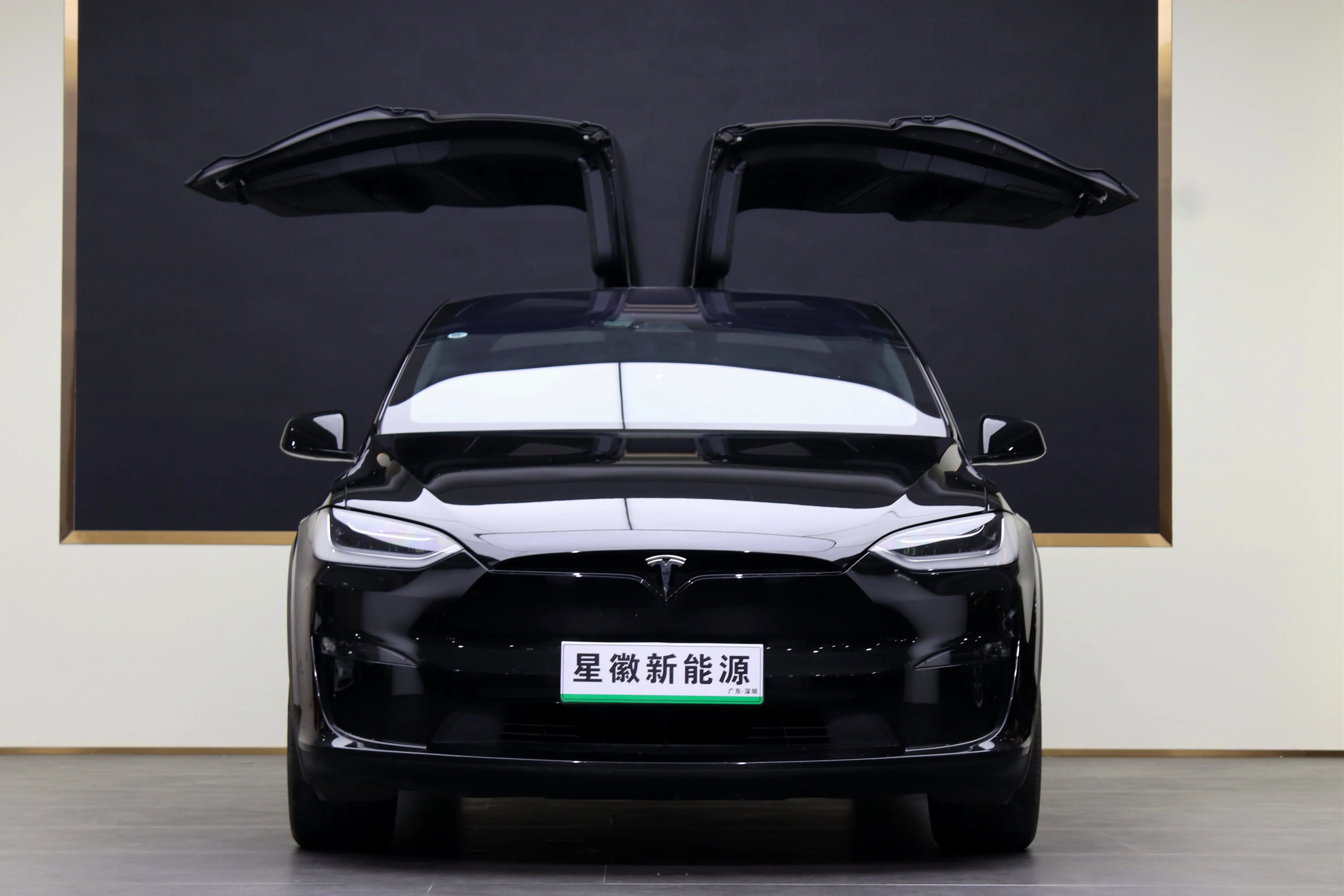 Tesla Model X  из Китая