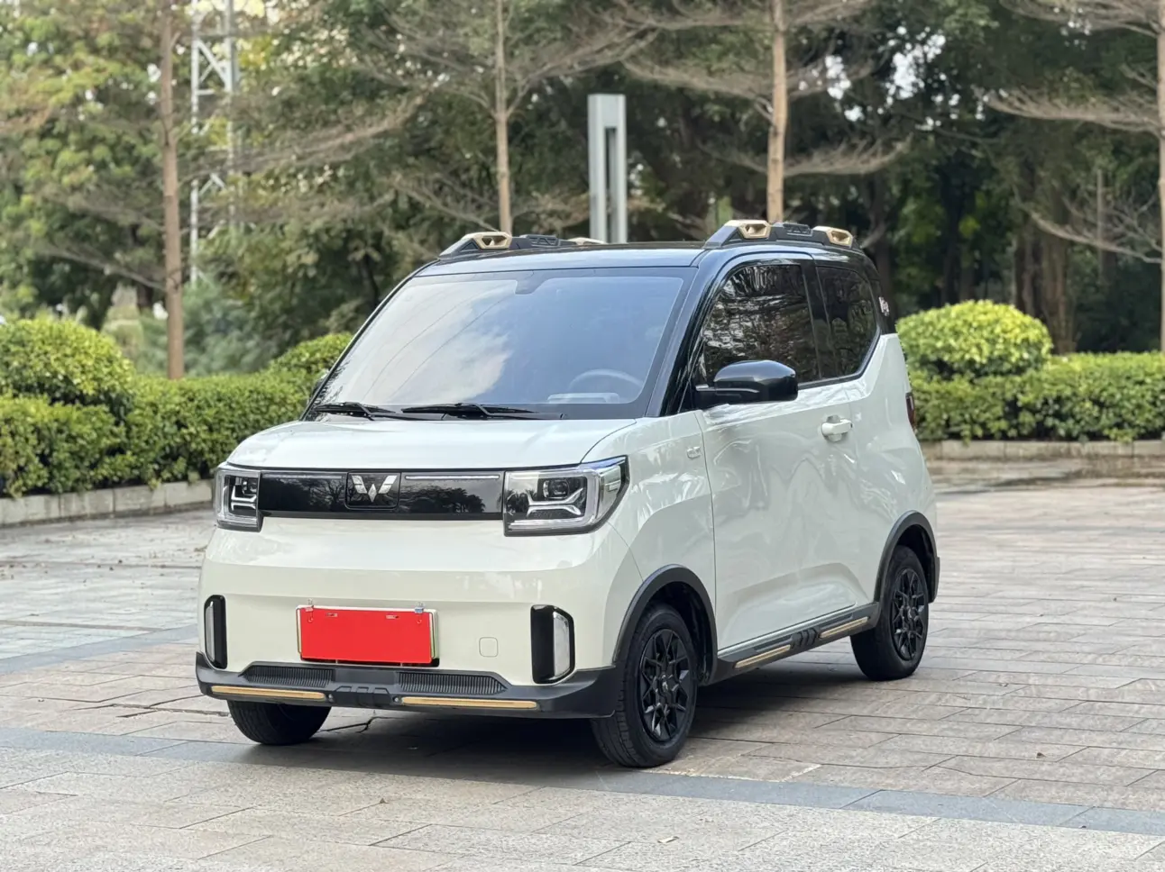 Wuling Hongguang MINIEV  из Китая