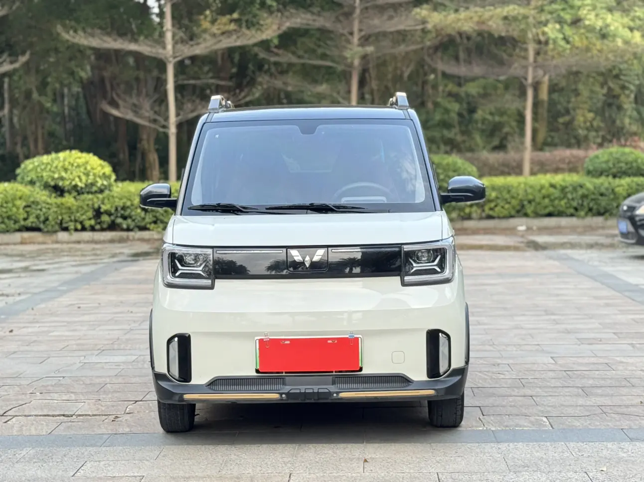 Wuling Hongguang MINIEV  из Китая