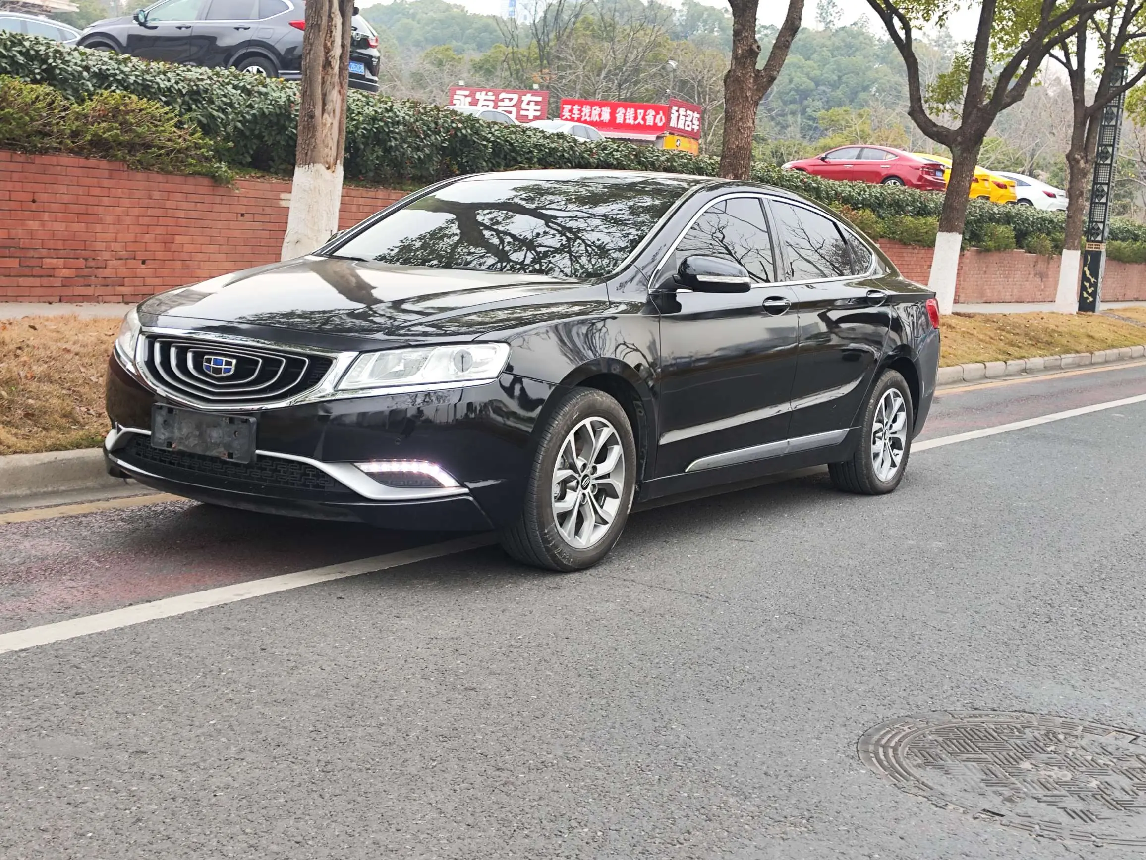 Geely Borui  из Китая