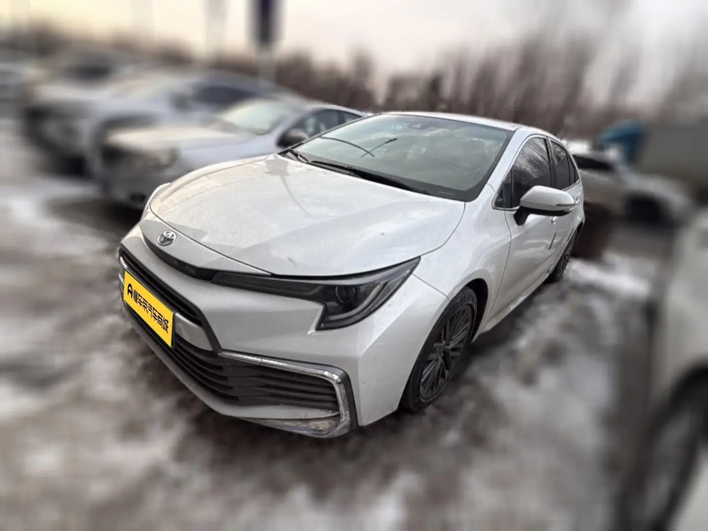 Toyota Levin (Ling Shang)  из Китая