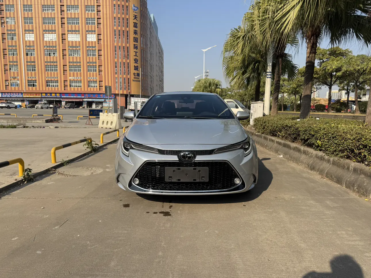 Toyota Levin (Lei Ling)  из Китая