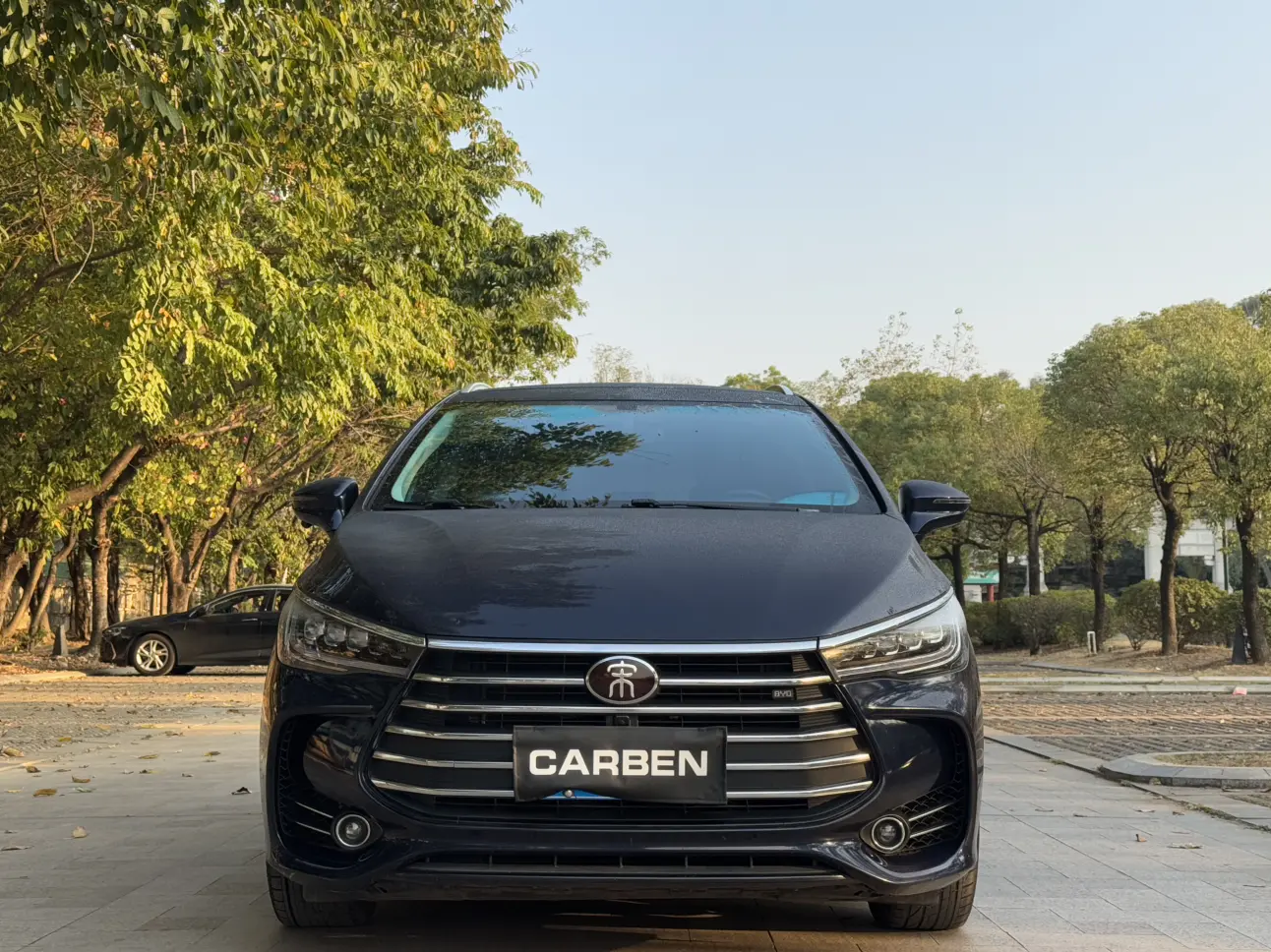 BYD Song MAX  из Китая