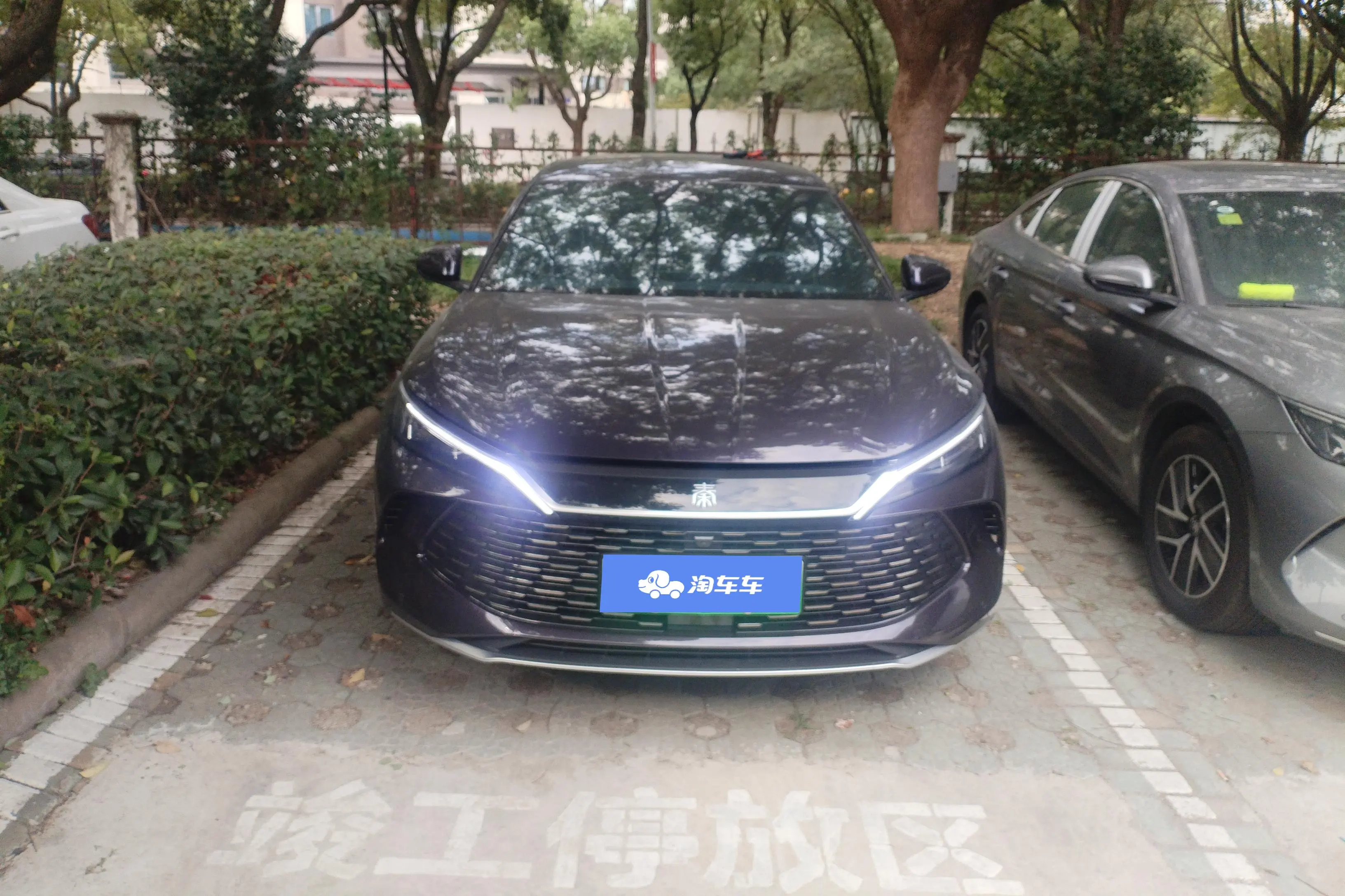 BYD Qin L DM  из Китая