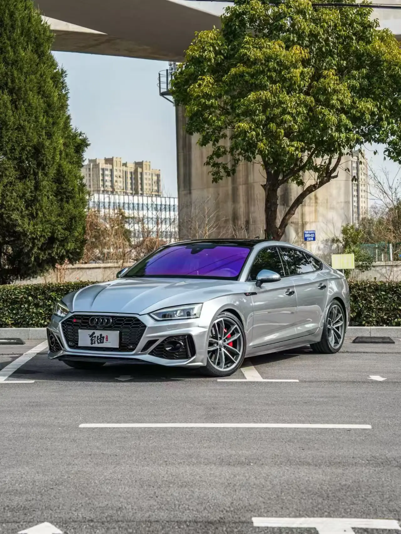 Audi S5  из Китая