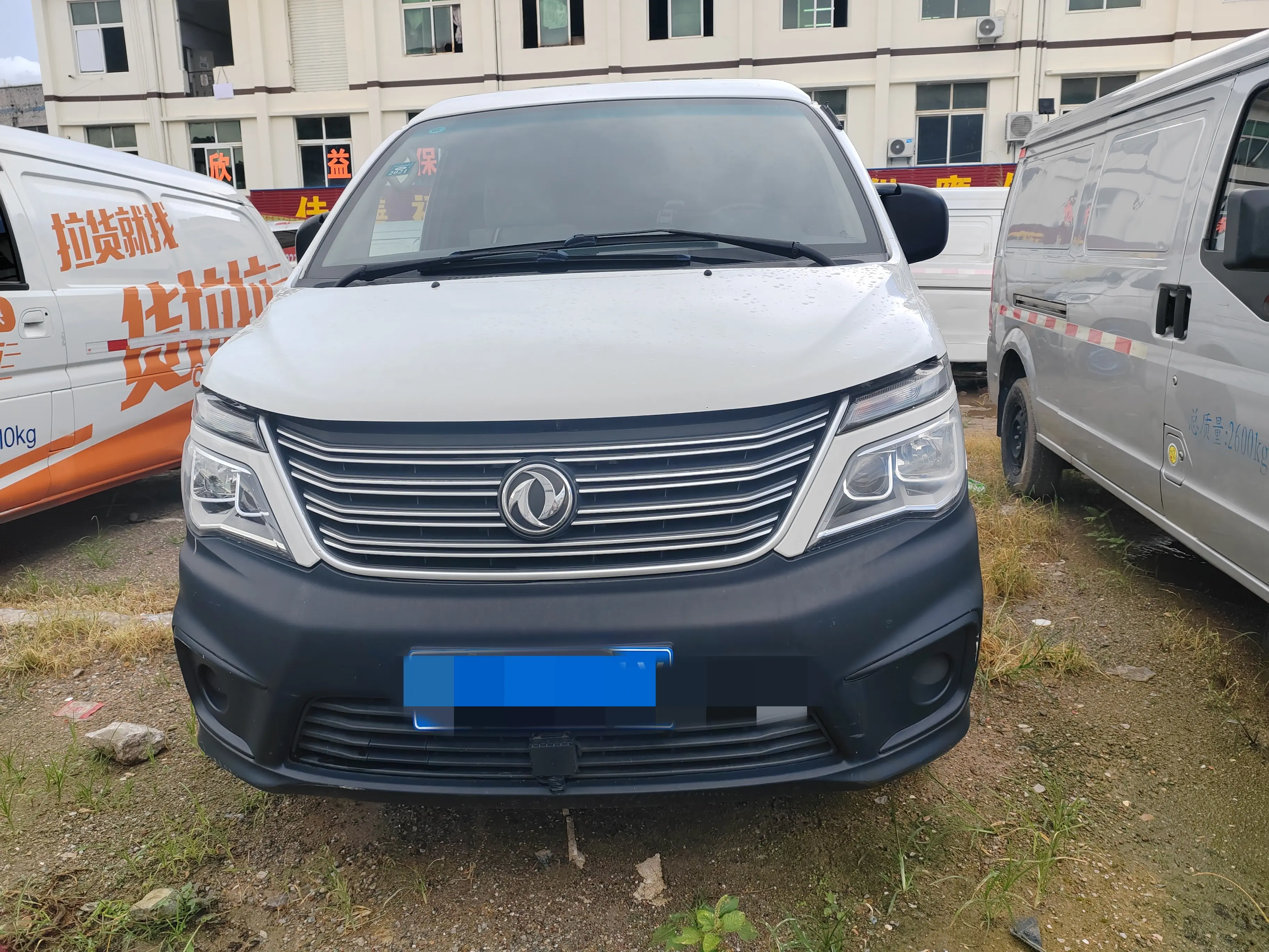 Forthing Lingzhi  из Китая