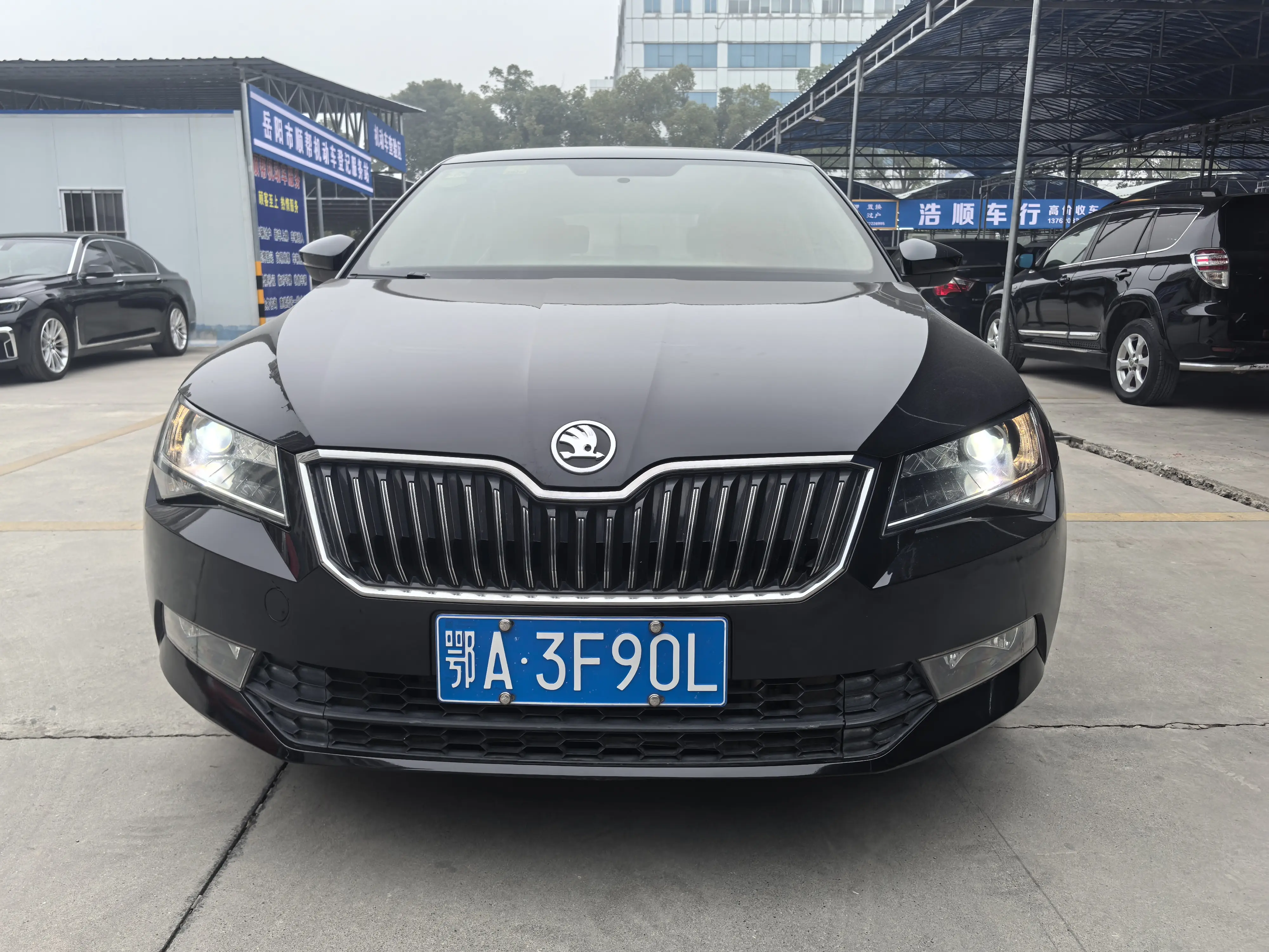 Skoda Speedy  из Китая