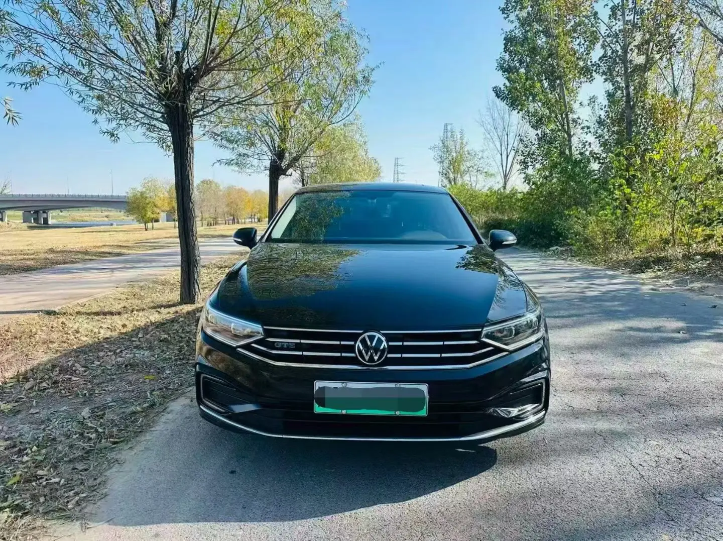 Volkswagen Magotan PHEV  из Китая