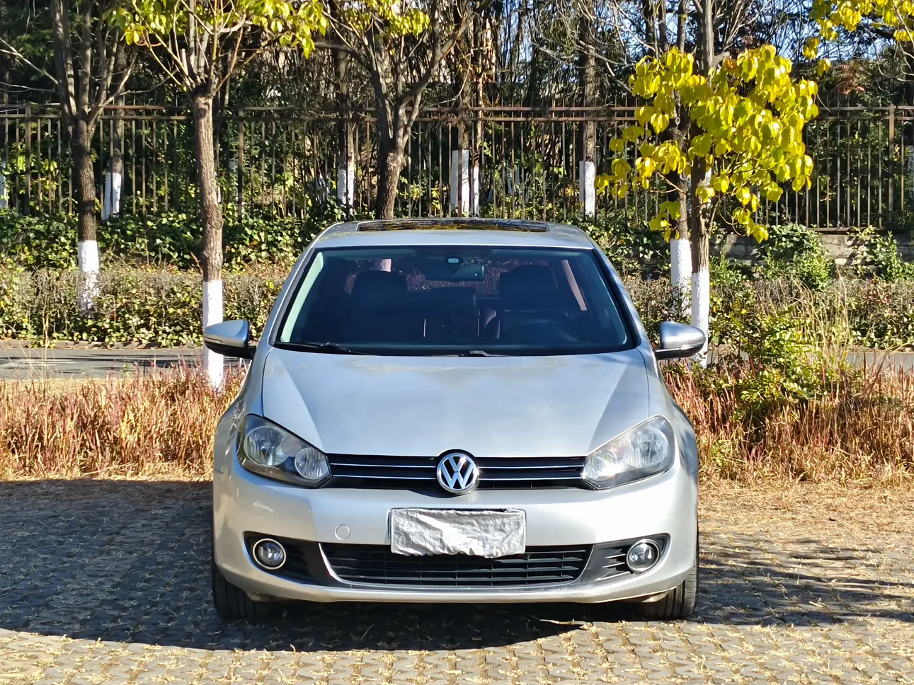 Volkswagen Golf  из Китая
