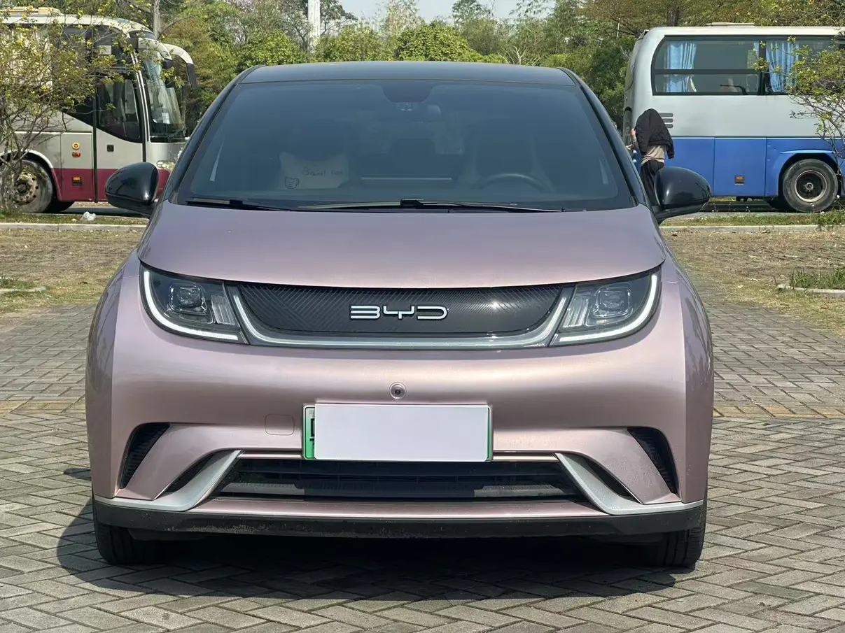 BYD Dolphin  из Китая