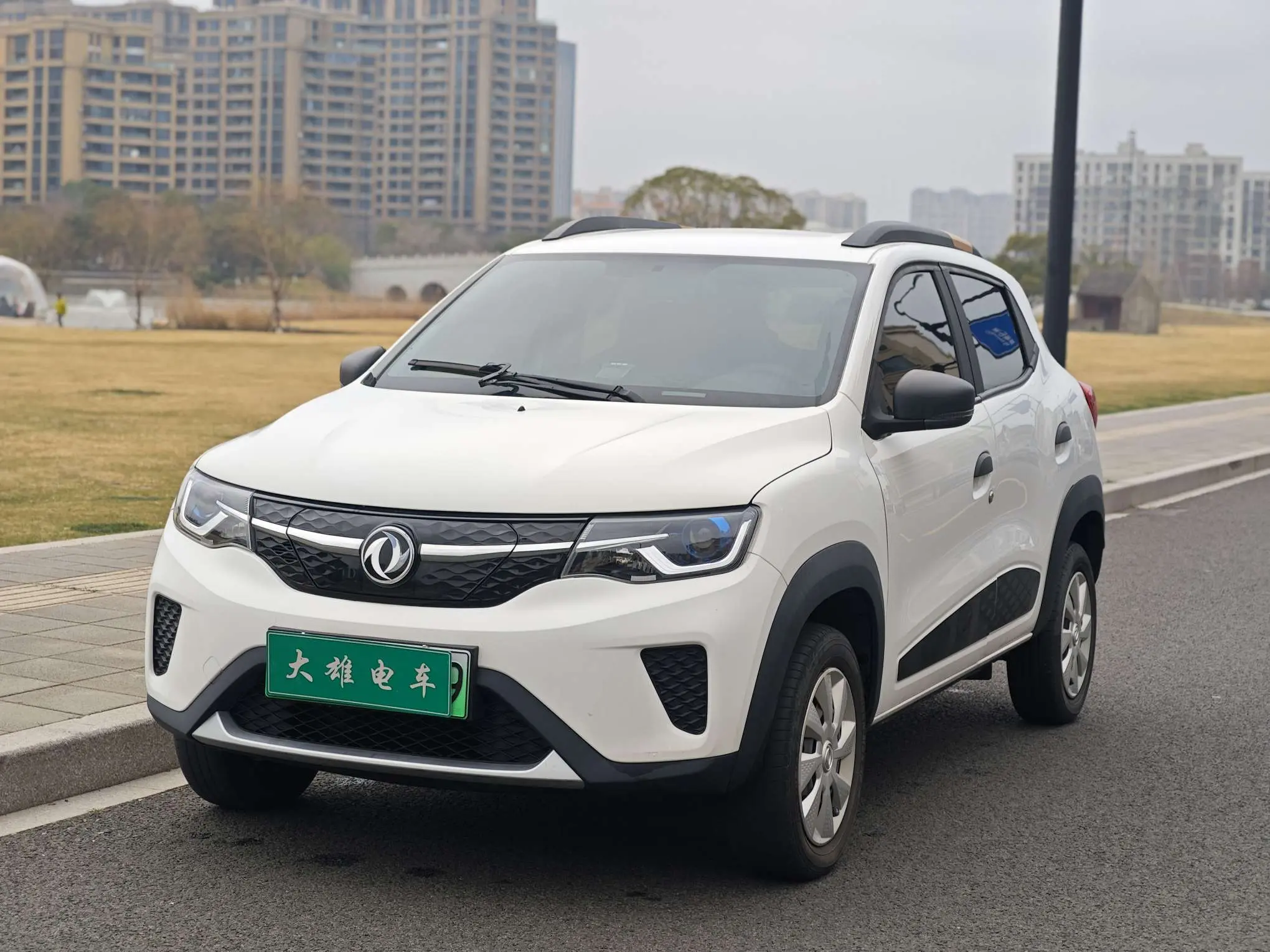 Dongfeng Nano EX1  из Китая