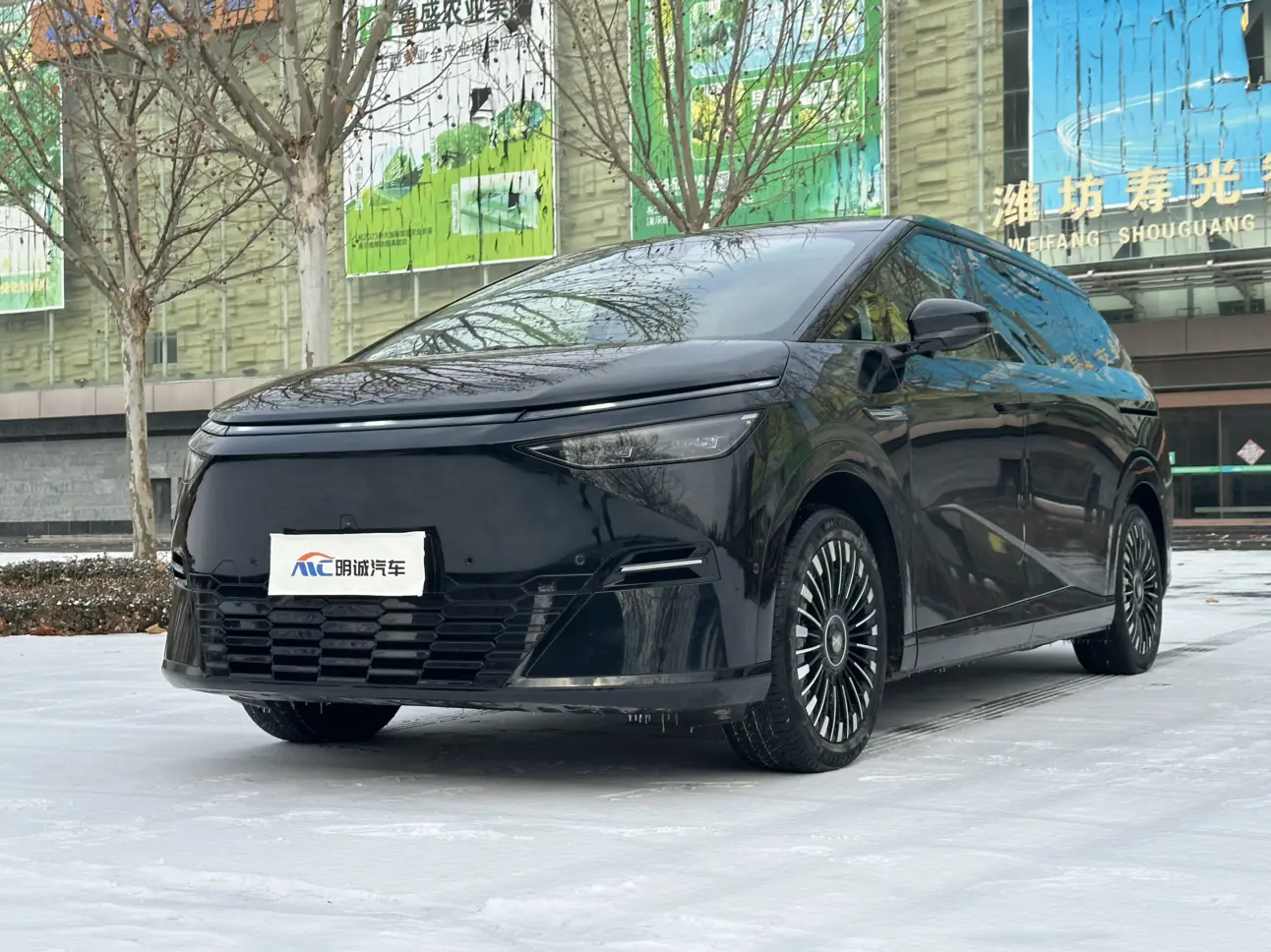 Xpeng X9  из Китая