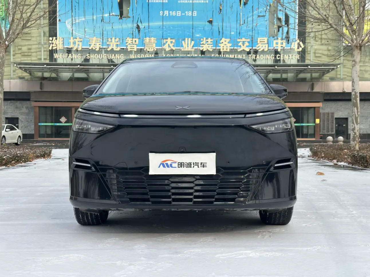 Xpeng X9  из Китая