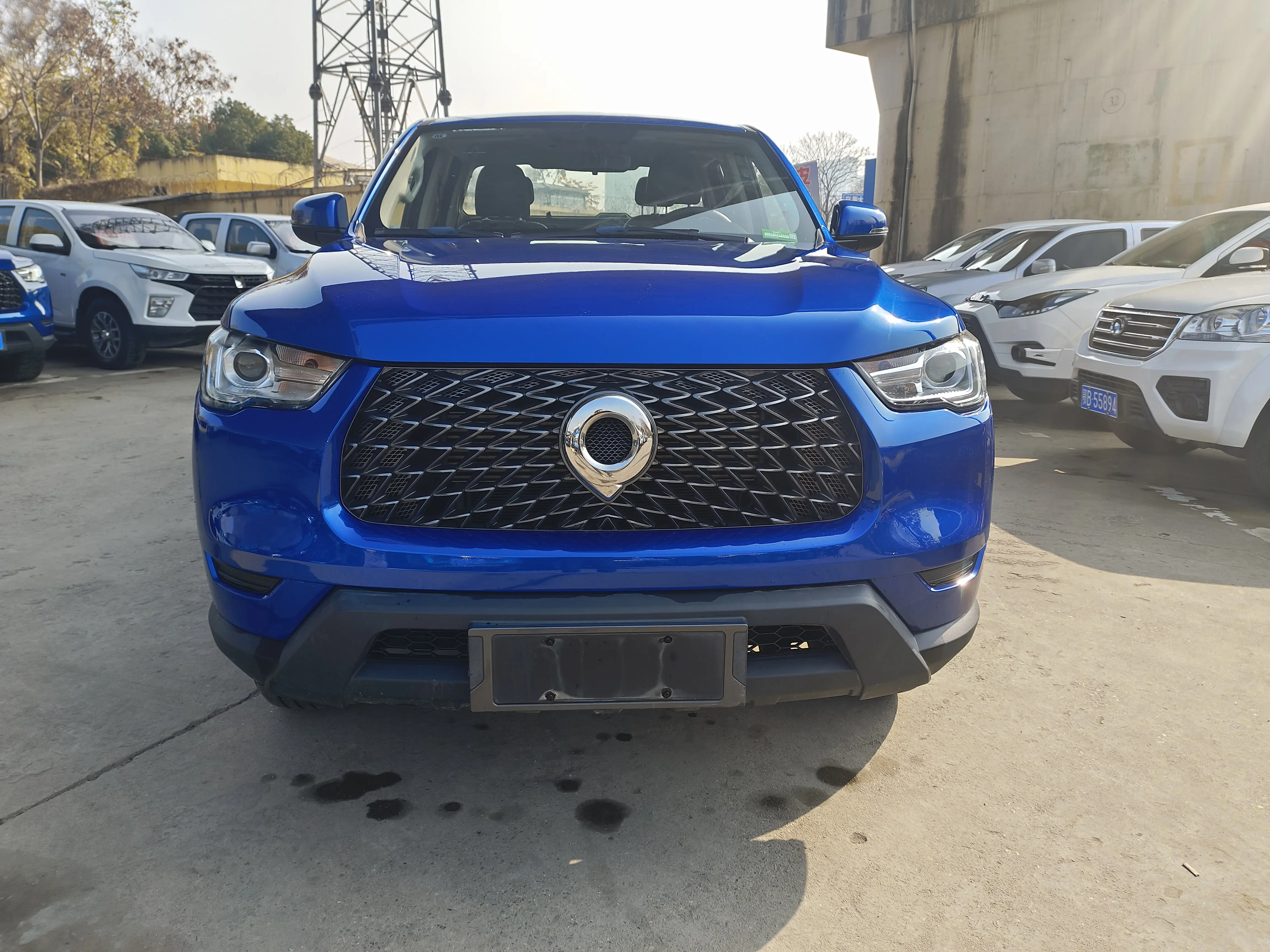 Great Wall Gun  из Китая