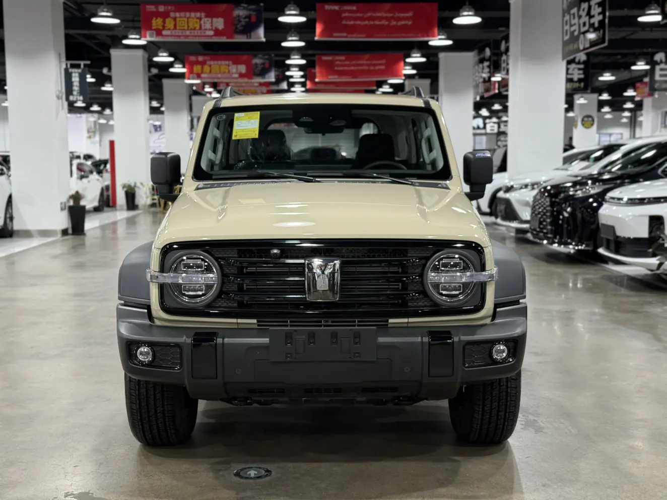 Tank 300  из Китая