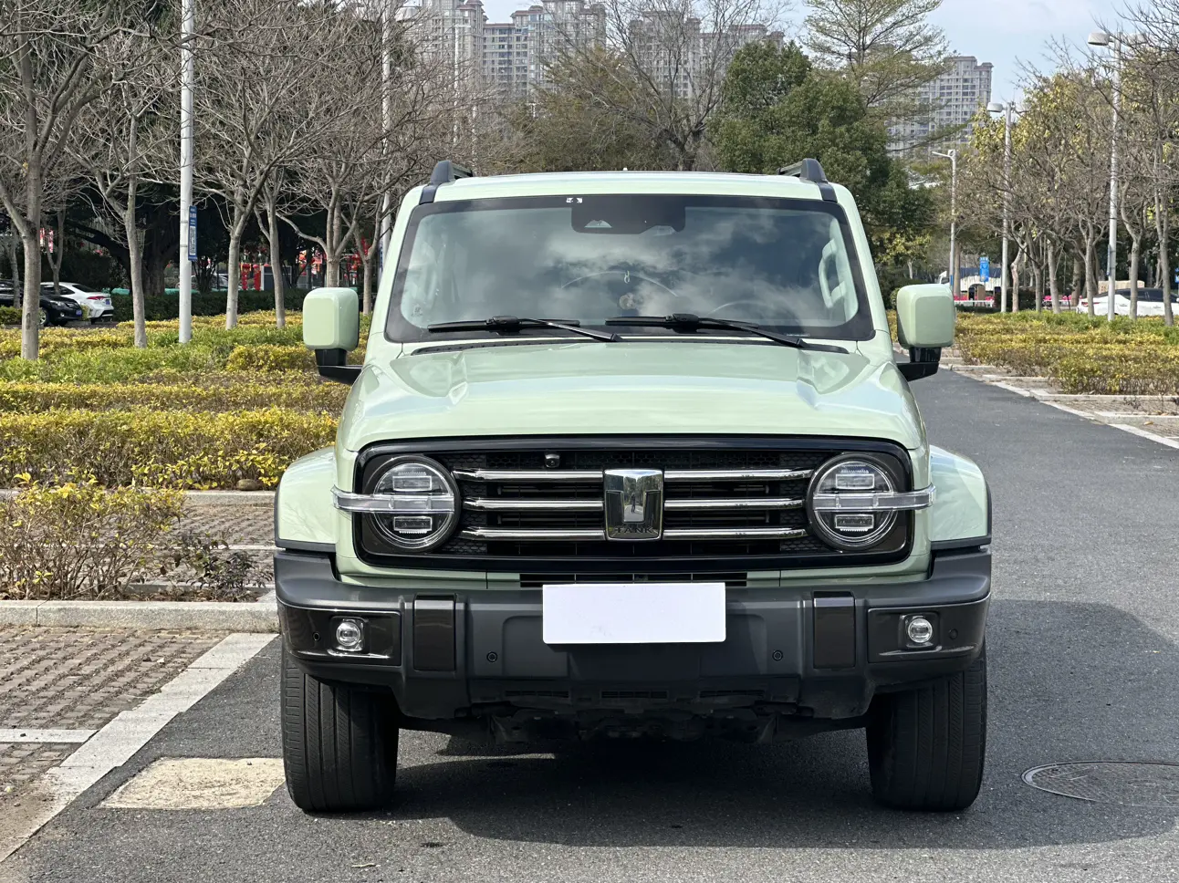 Tank 300  из Китая