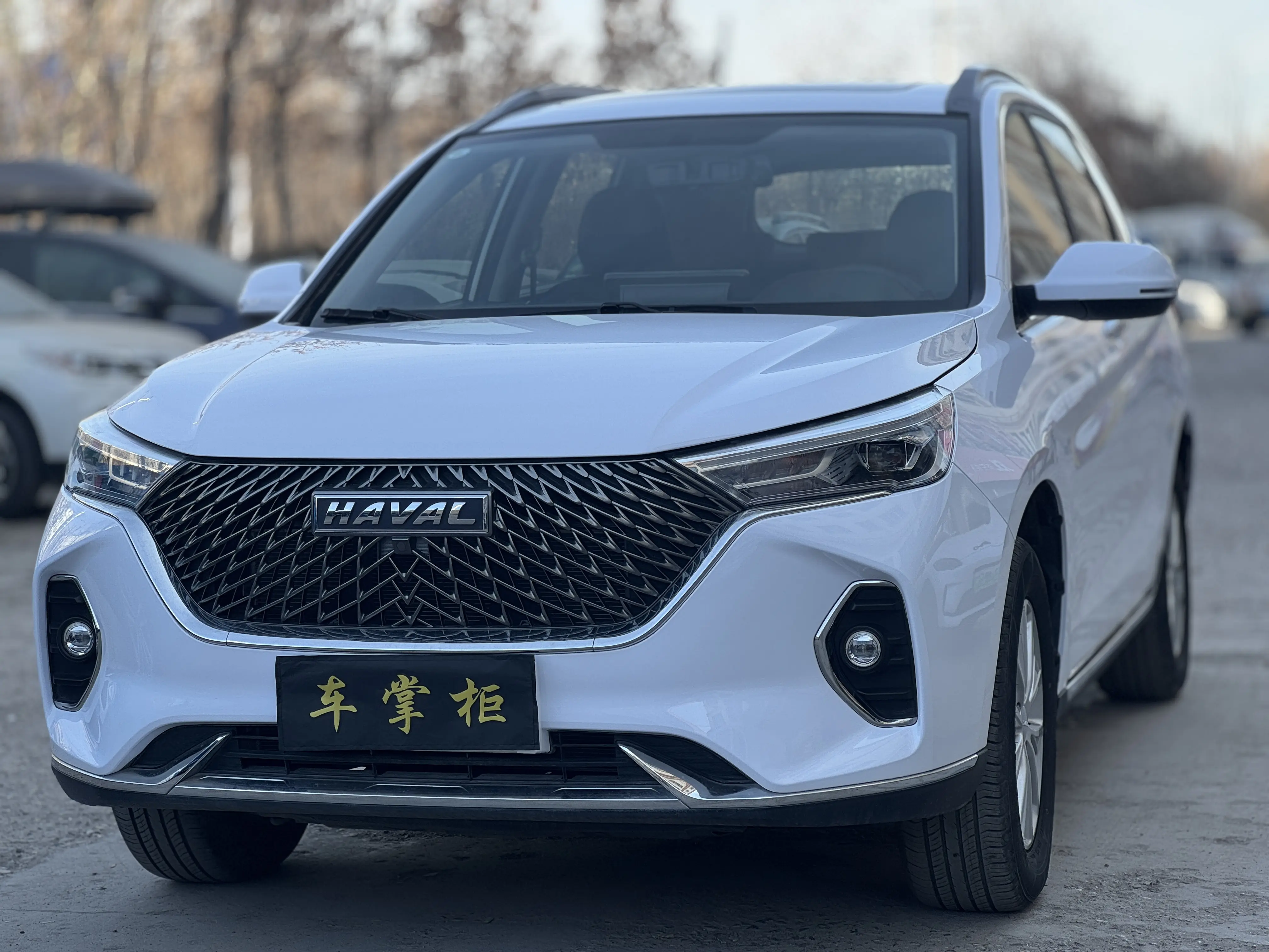 Haval M6  из Китая