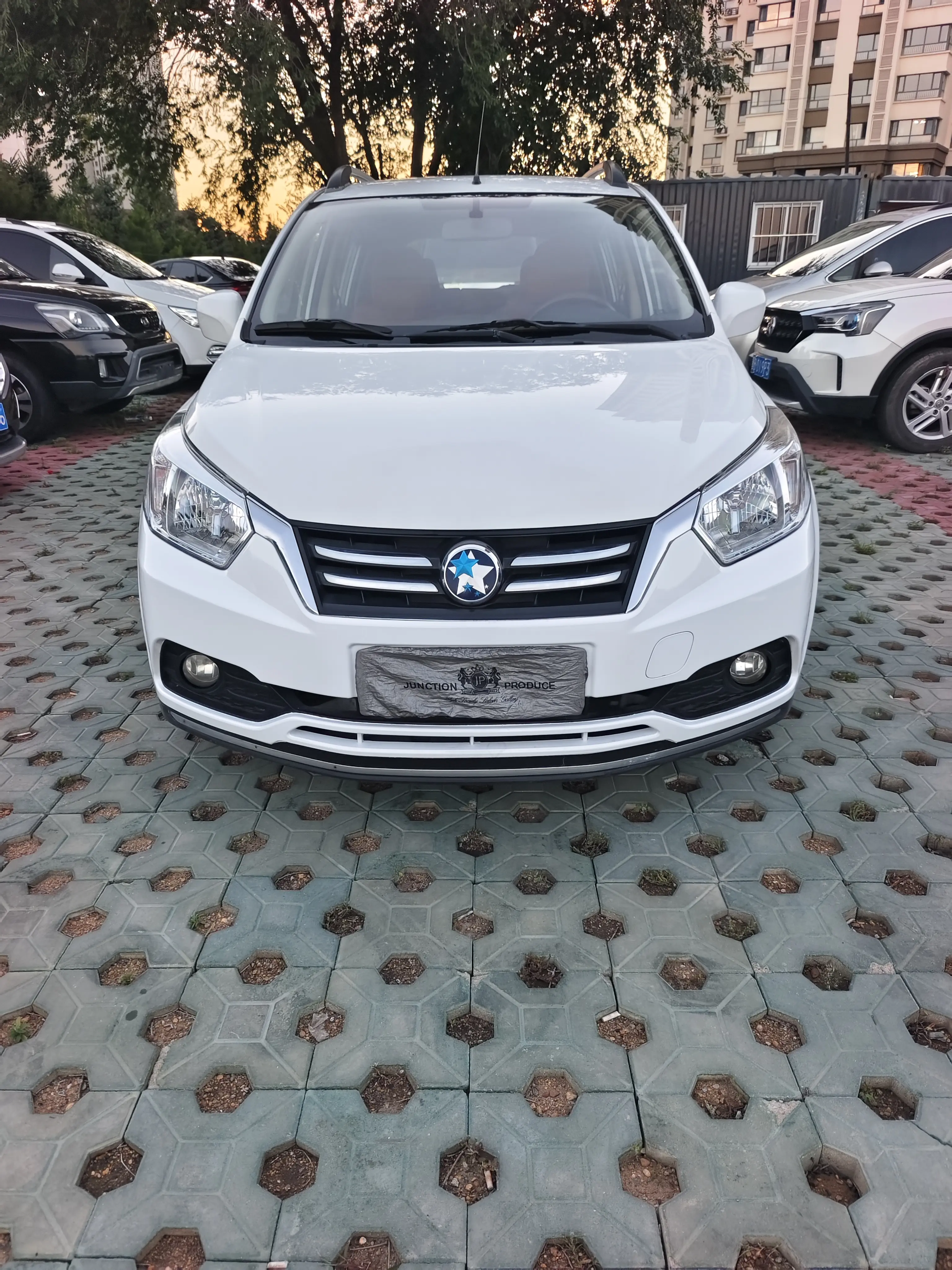 Kai Chen Venucia R50  из Китая