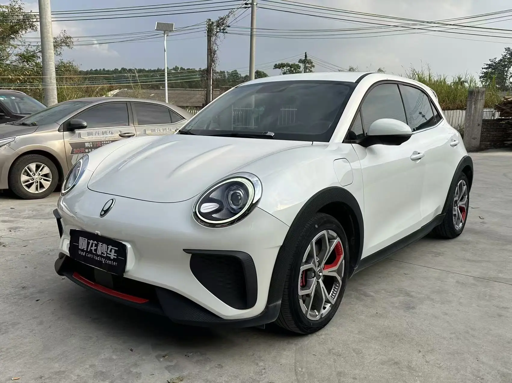 ORA Euler Good Cat GT  из Китая