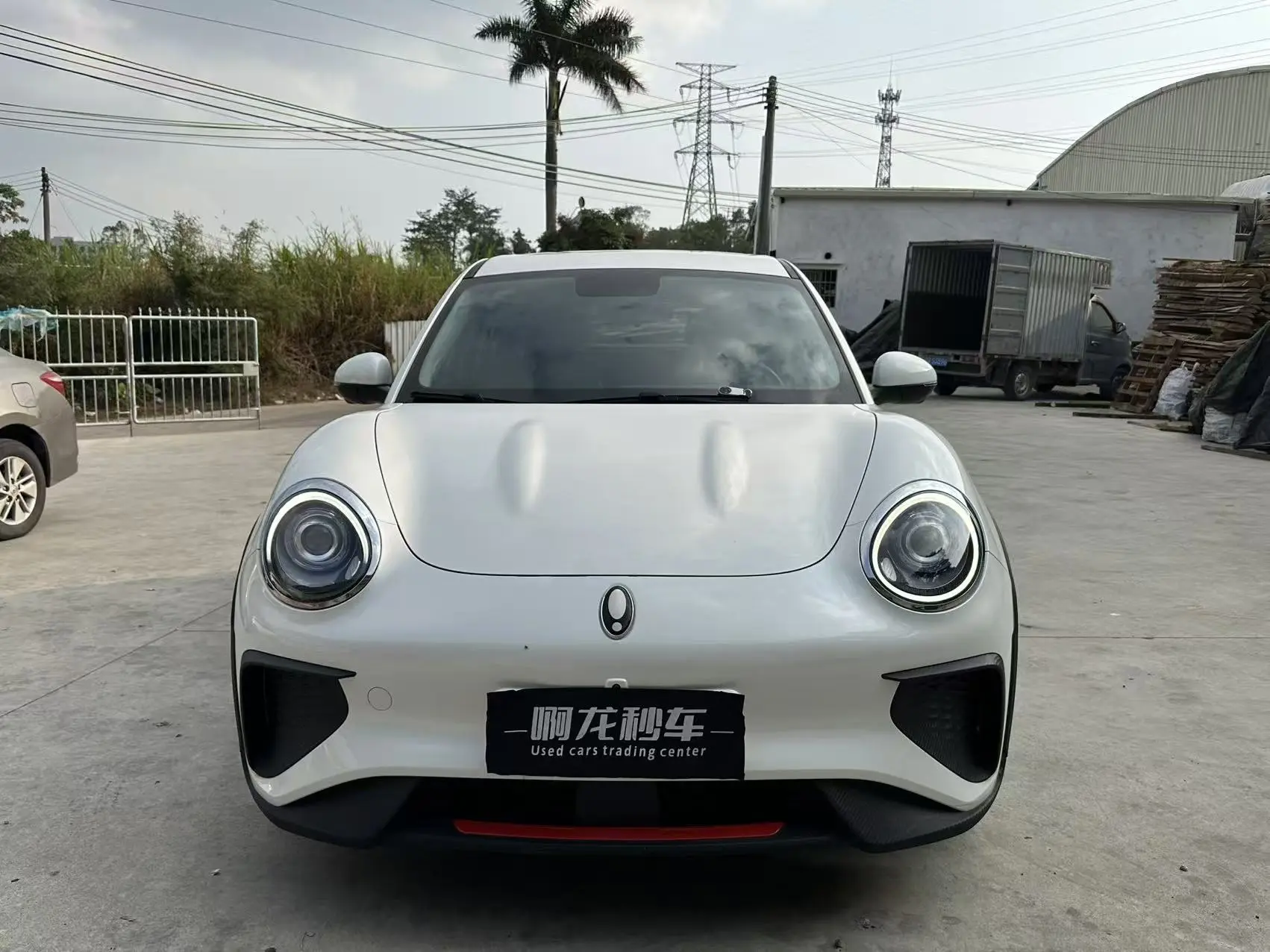 ORA Euler Good Cat GT  из Китая