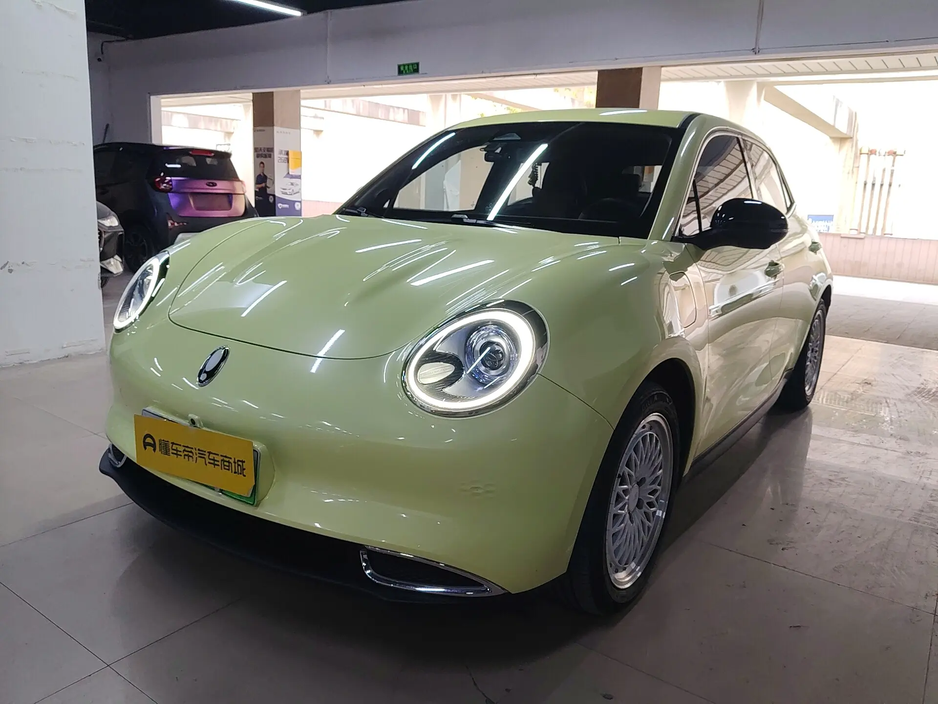 ORA Euler good cat  из Китая