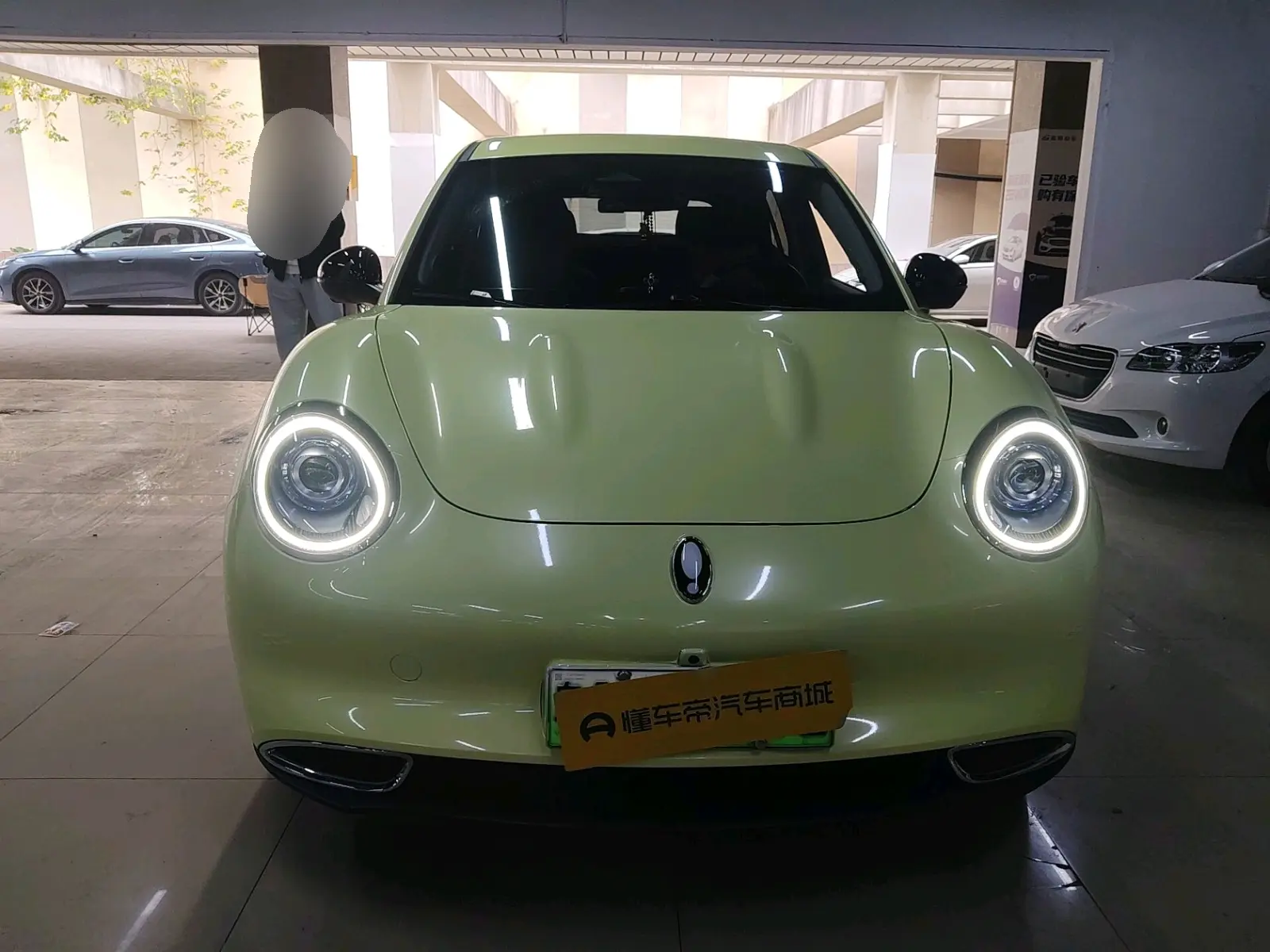 ORA Euler good cat  из Китая