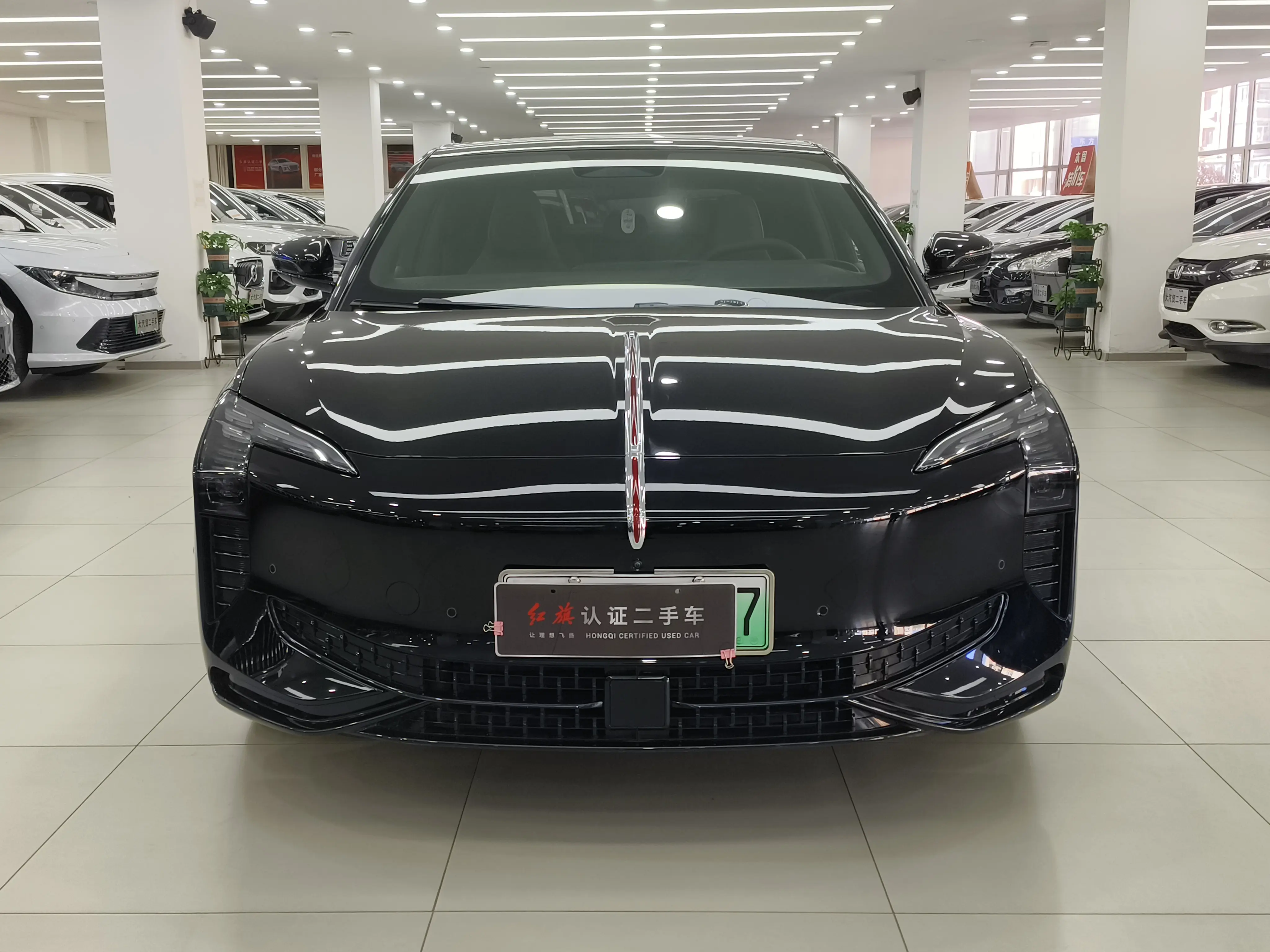 Hongqi EH7  из Китая