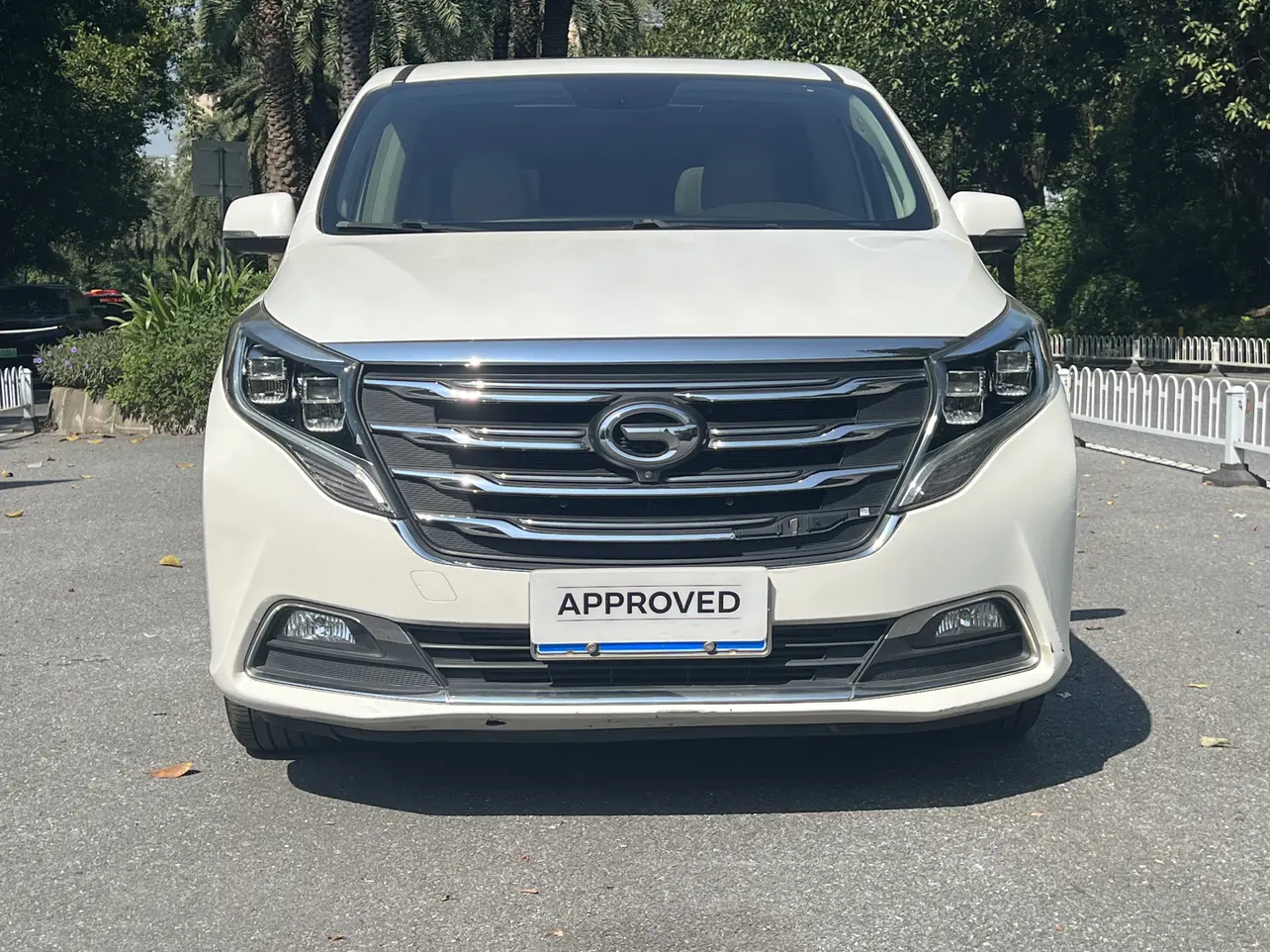 GAC Trumpchi M8  из Китая