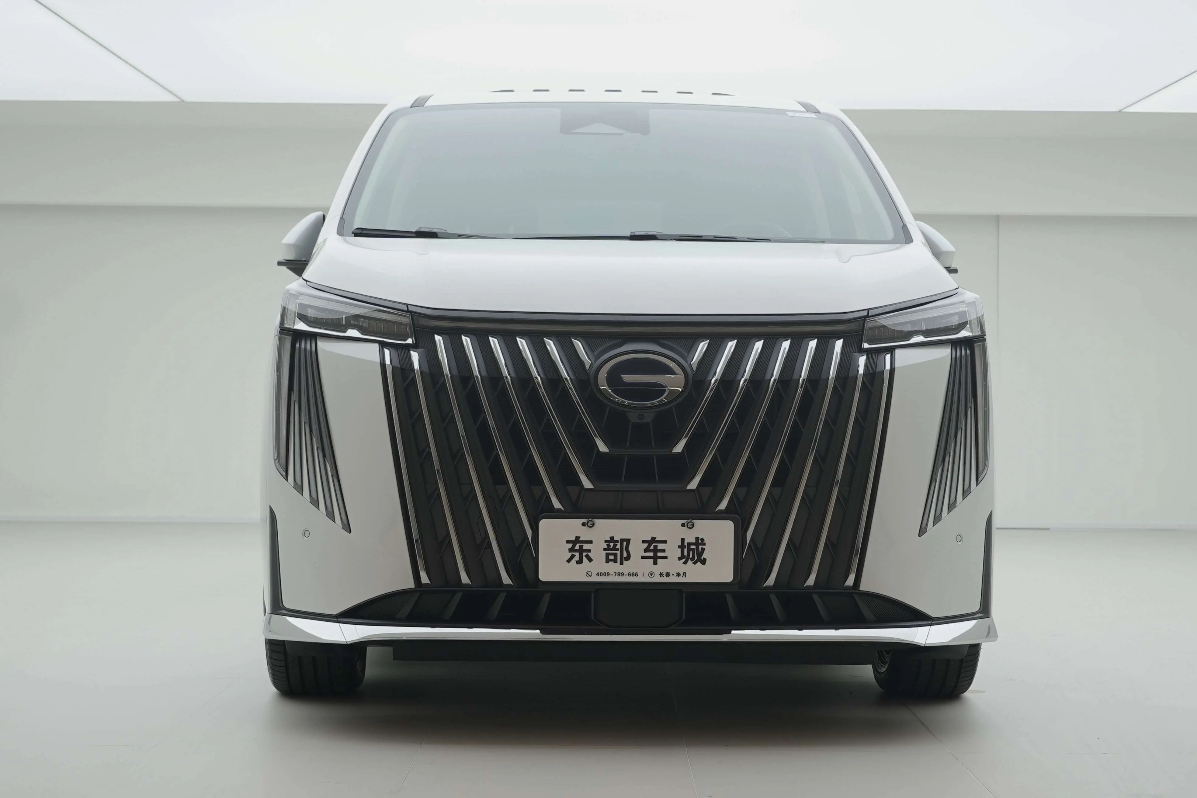 GAC Trumpchi M8  из Китая