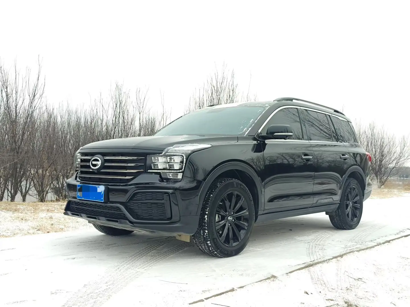 GAC Trumpchi GS8  из Китая
