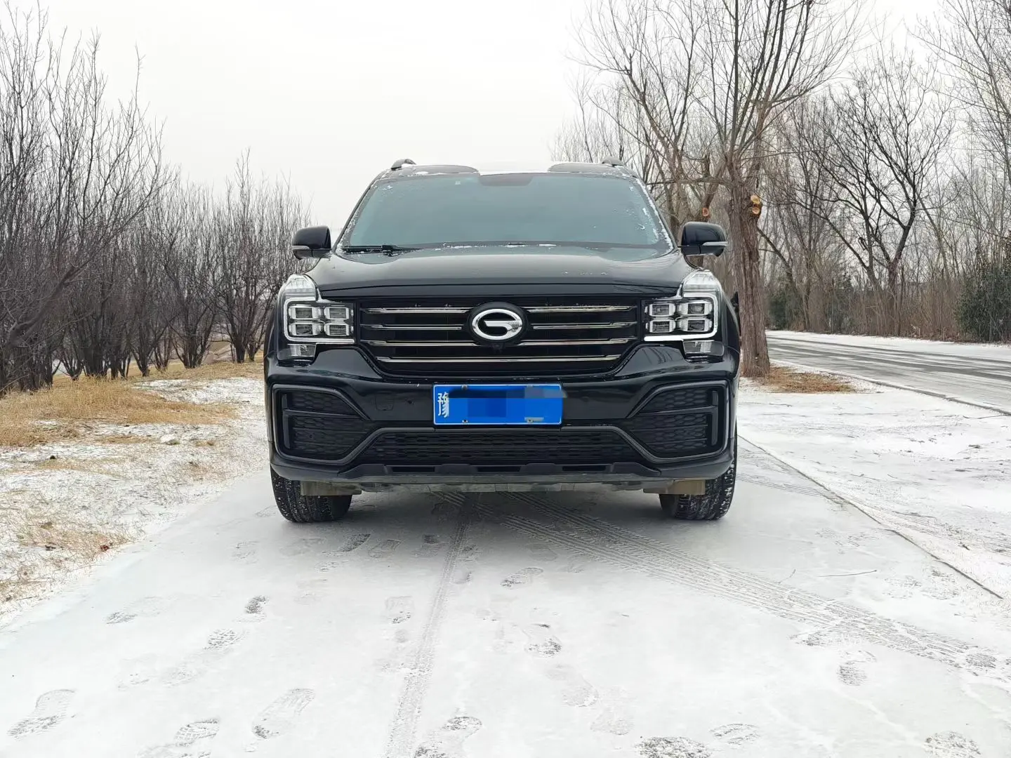 GAC Trumpchi GS8  из Китая